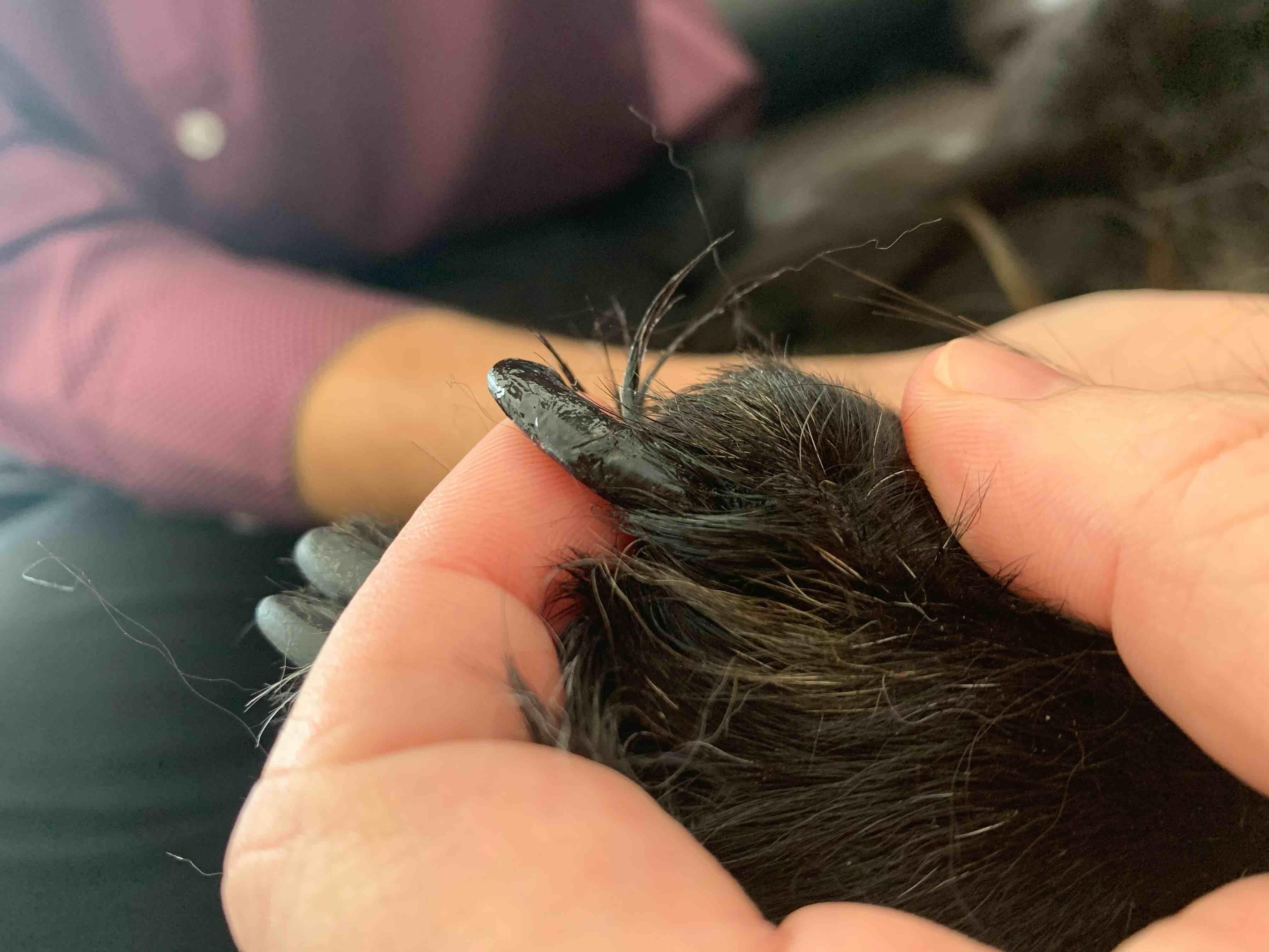 Question details sensitive content