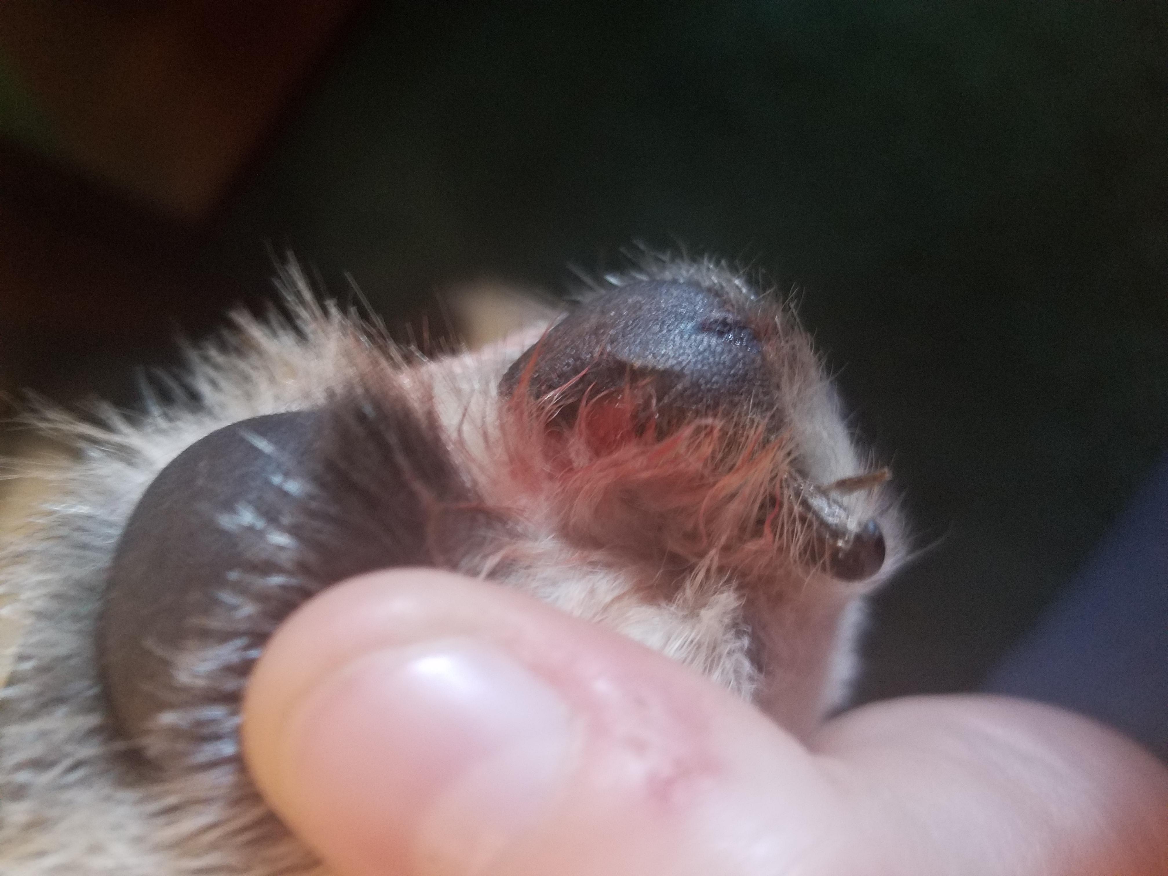 Question details sensitive content