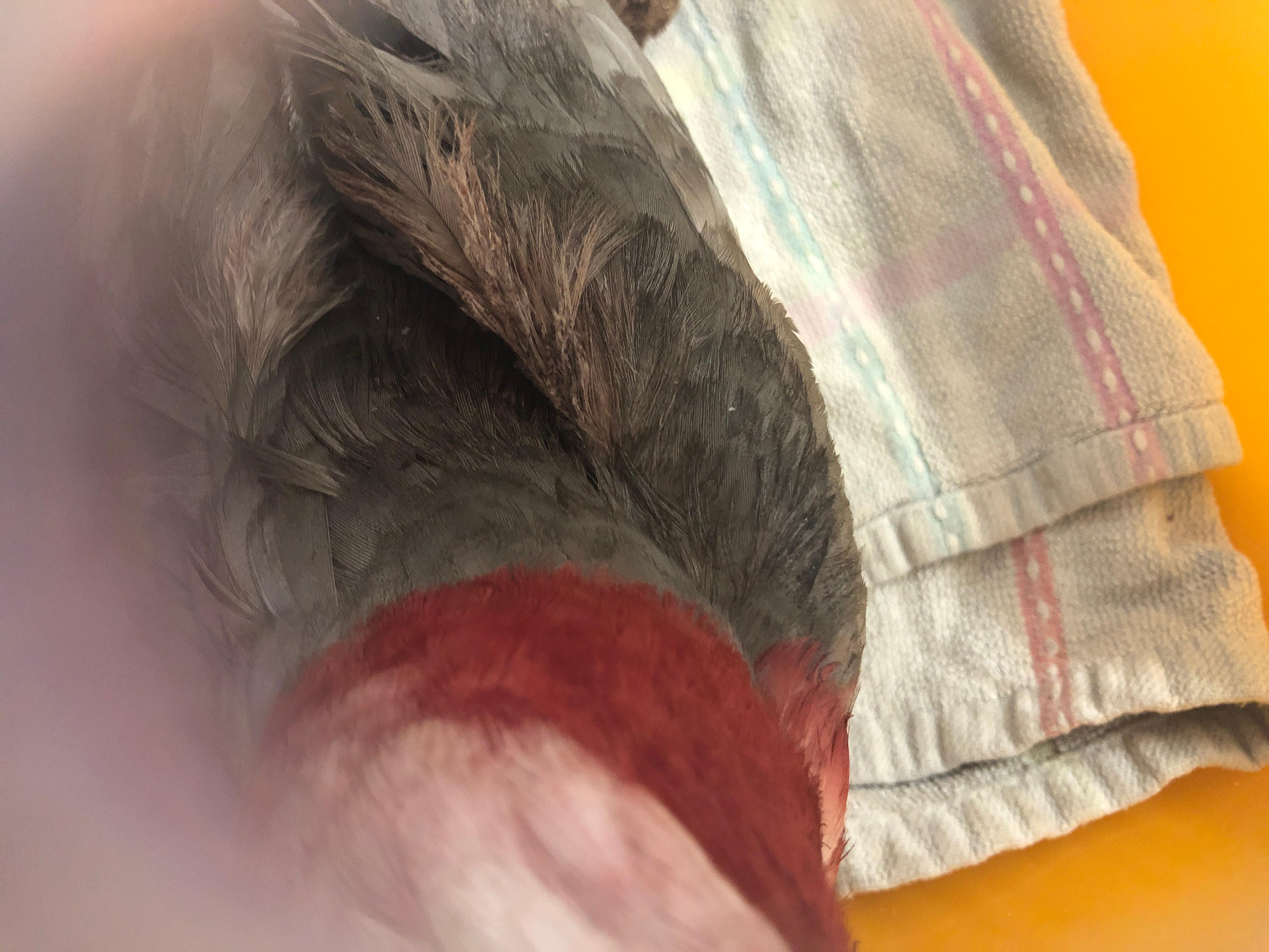 Question details sensitive content