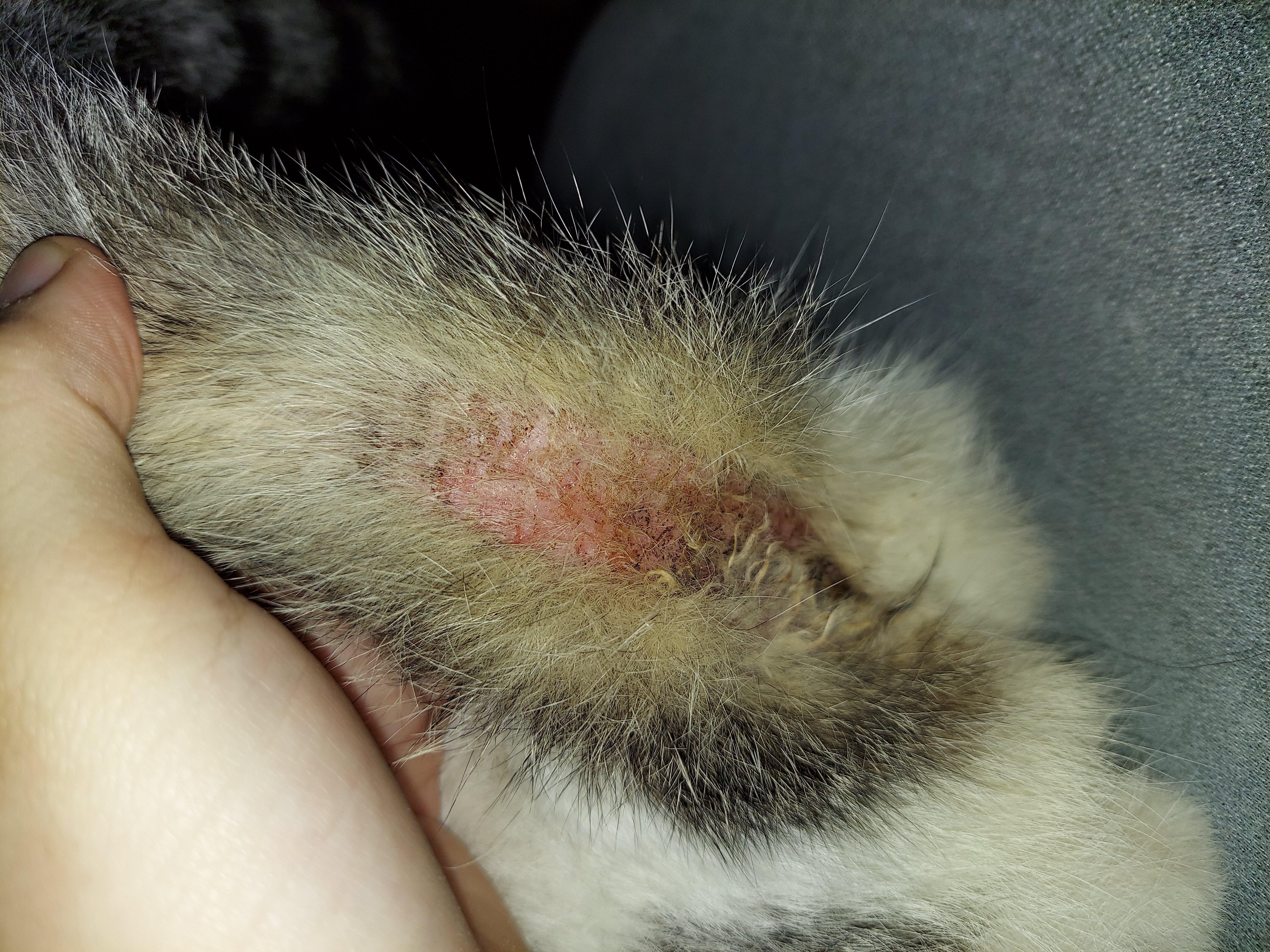 Question details sensitive content