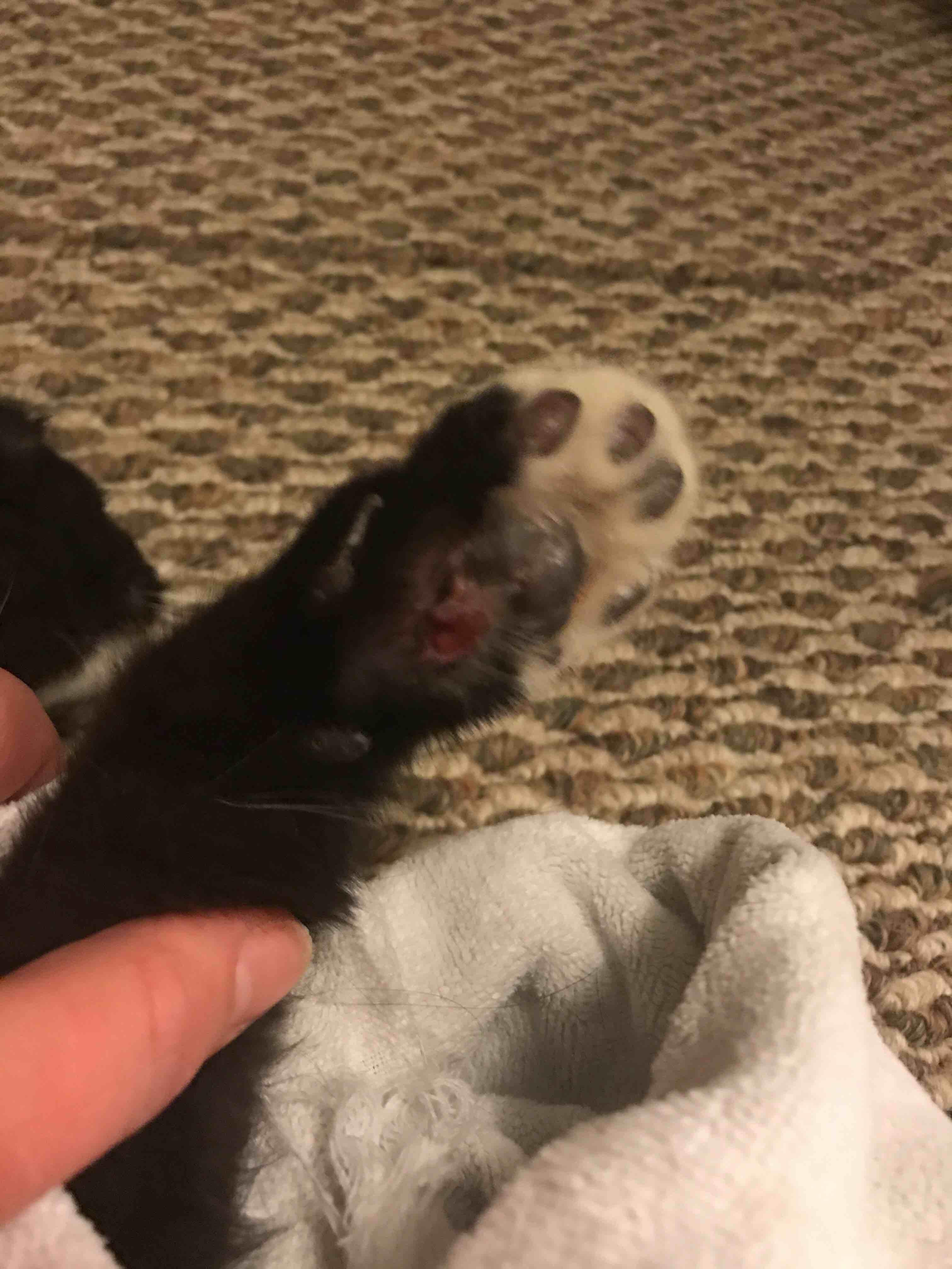 Question details sensitive content