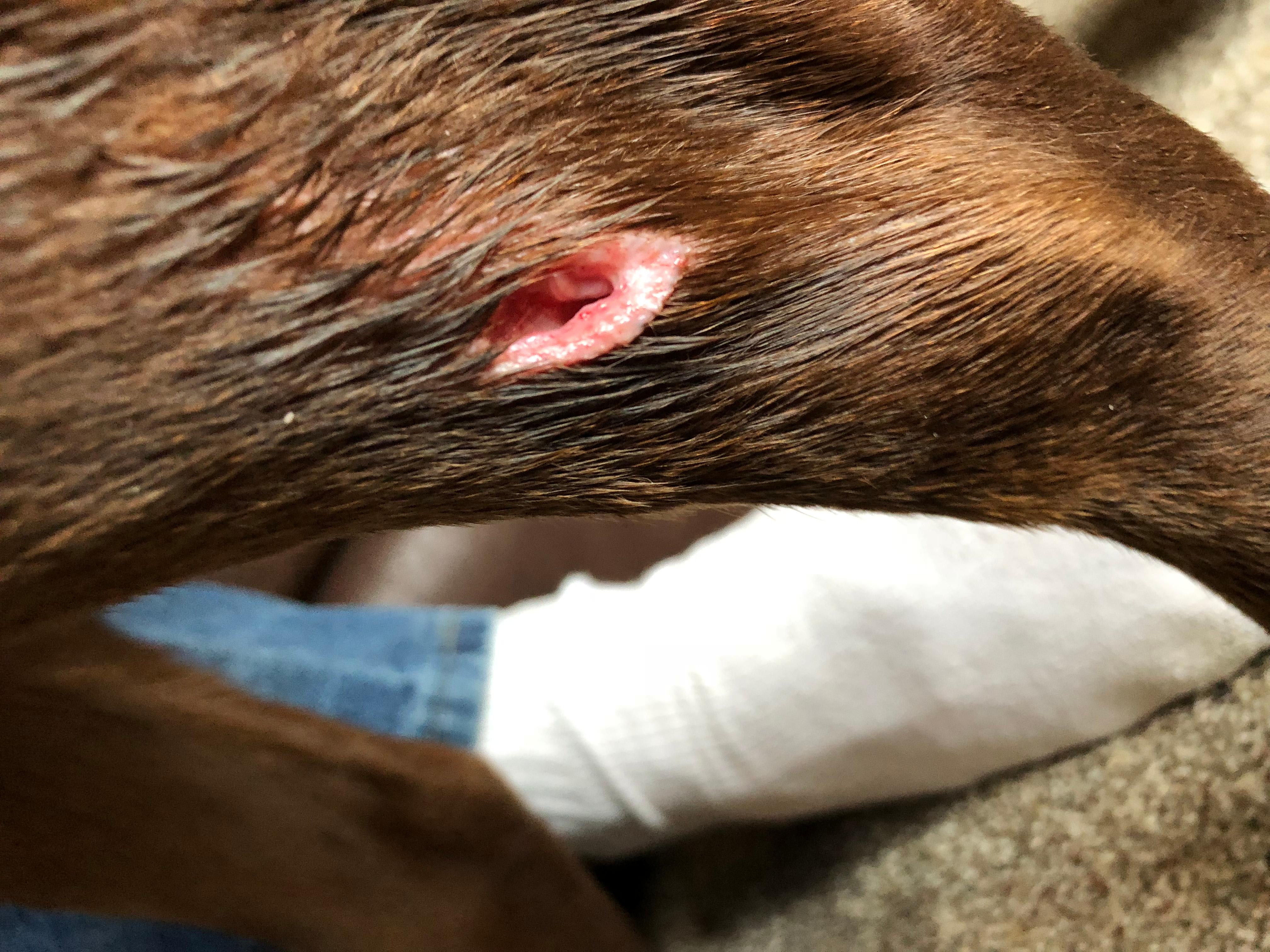 Question details sensitive content