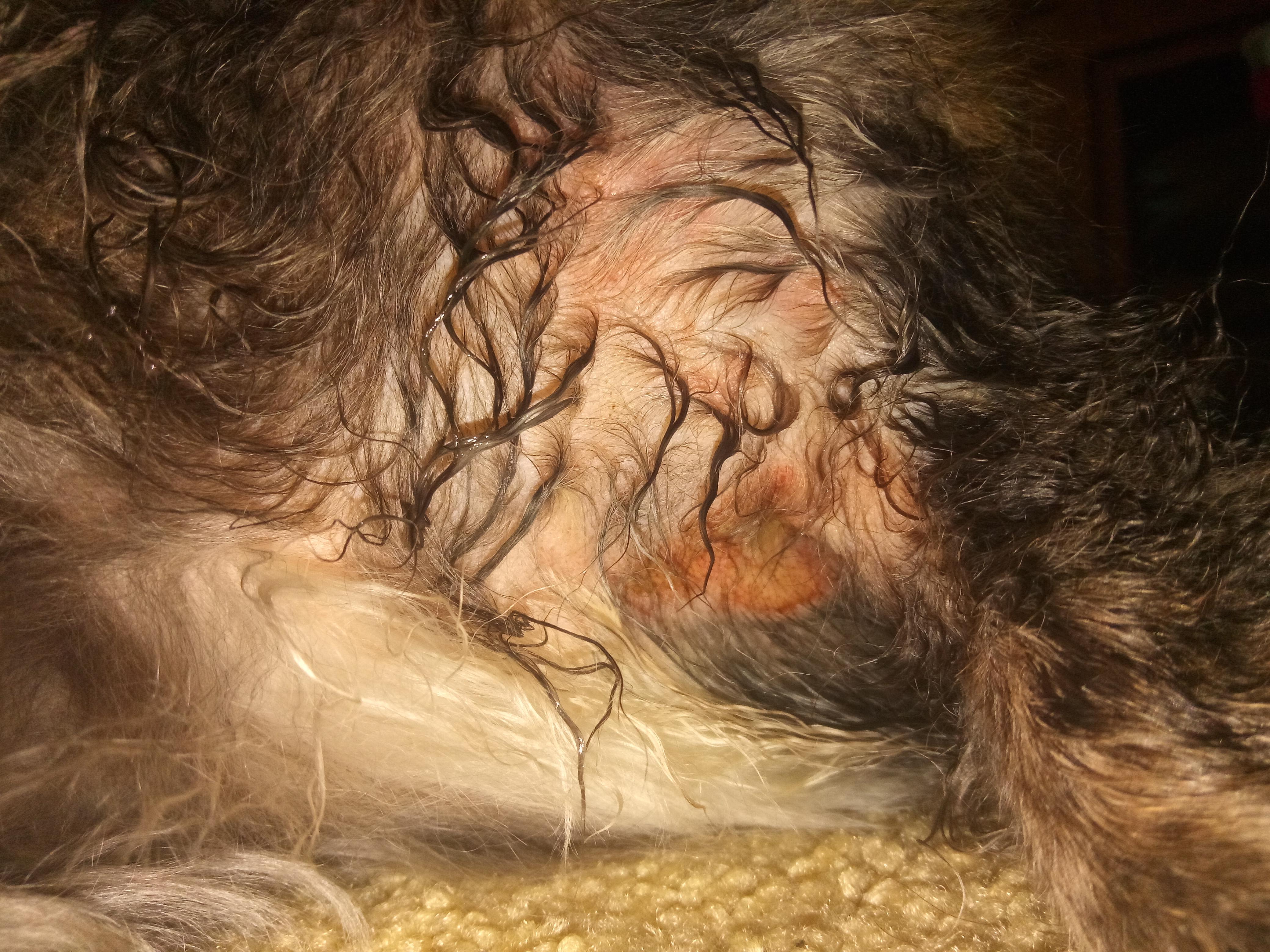 Question details sensitive content