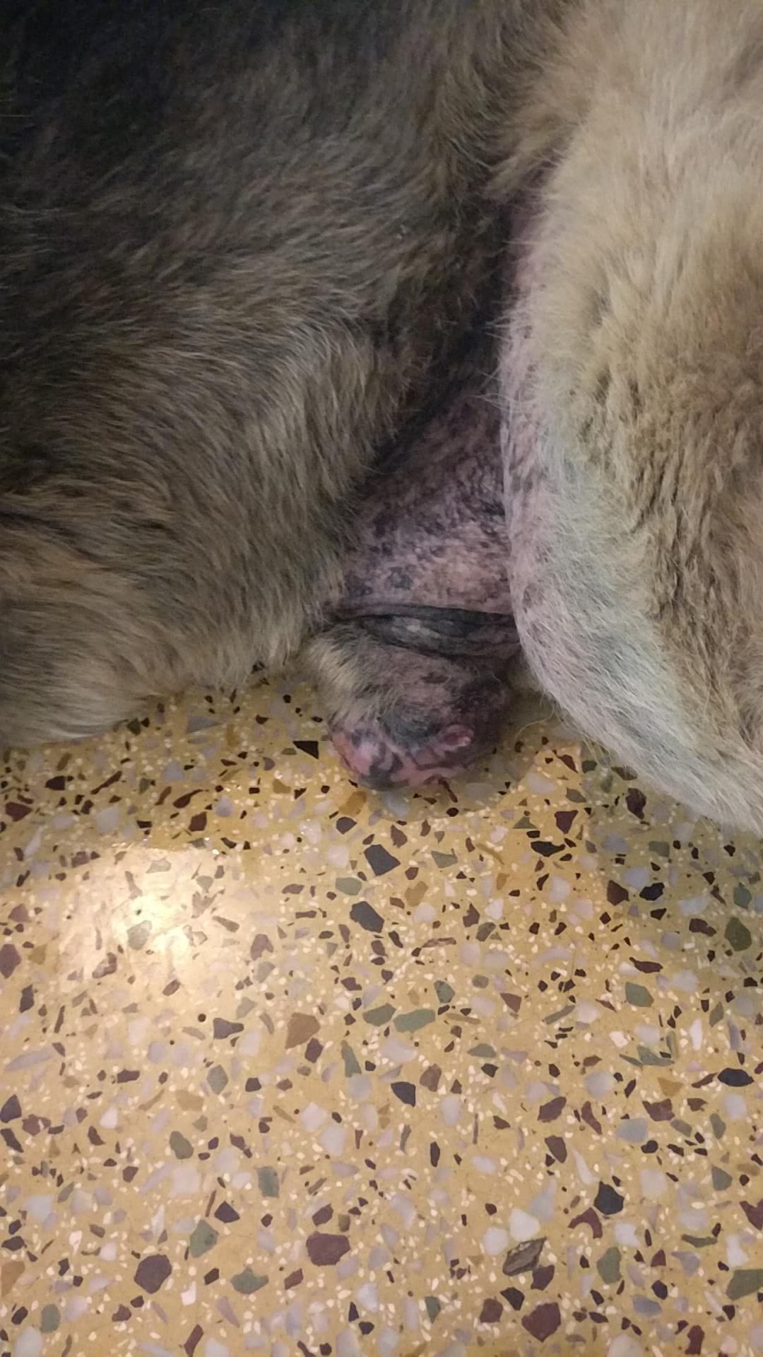 Question details sensitive content