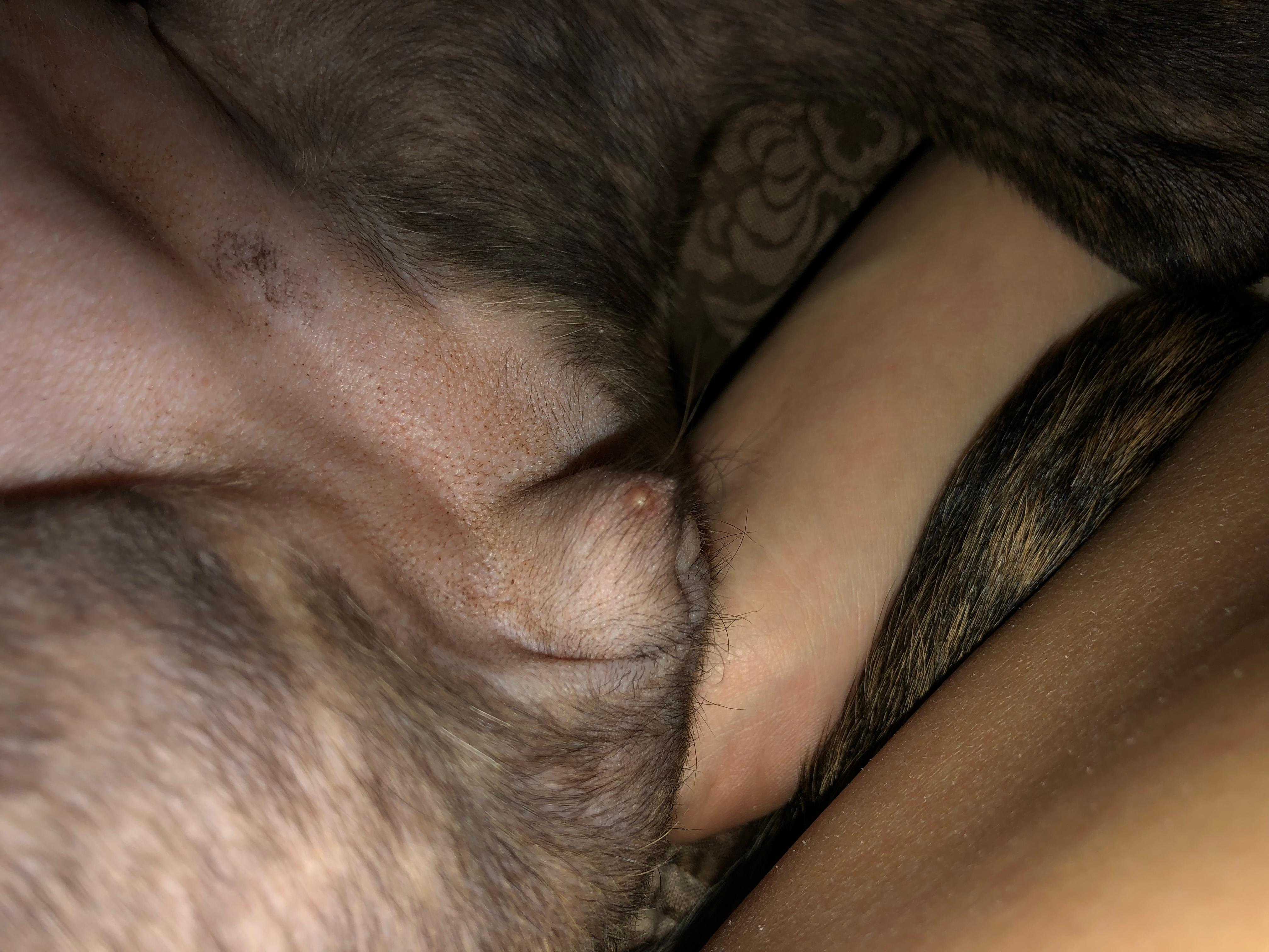 Question details sensitive content