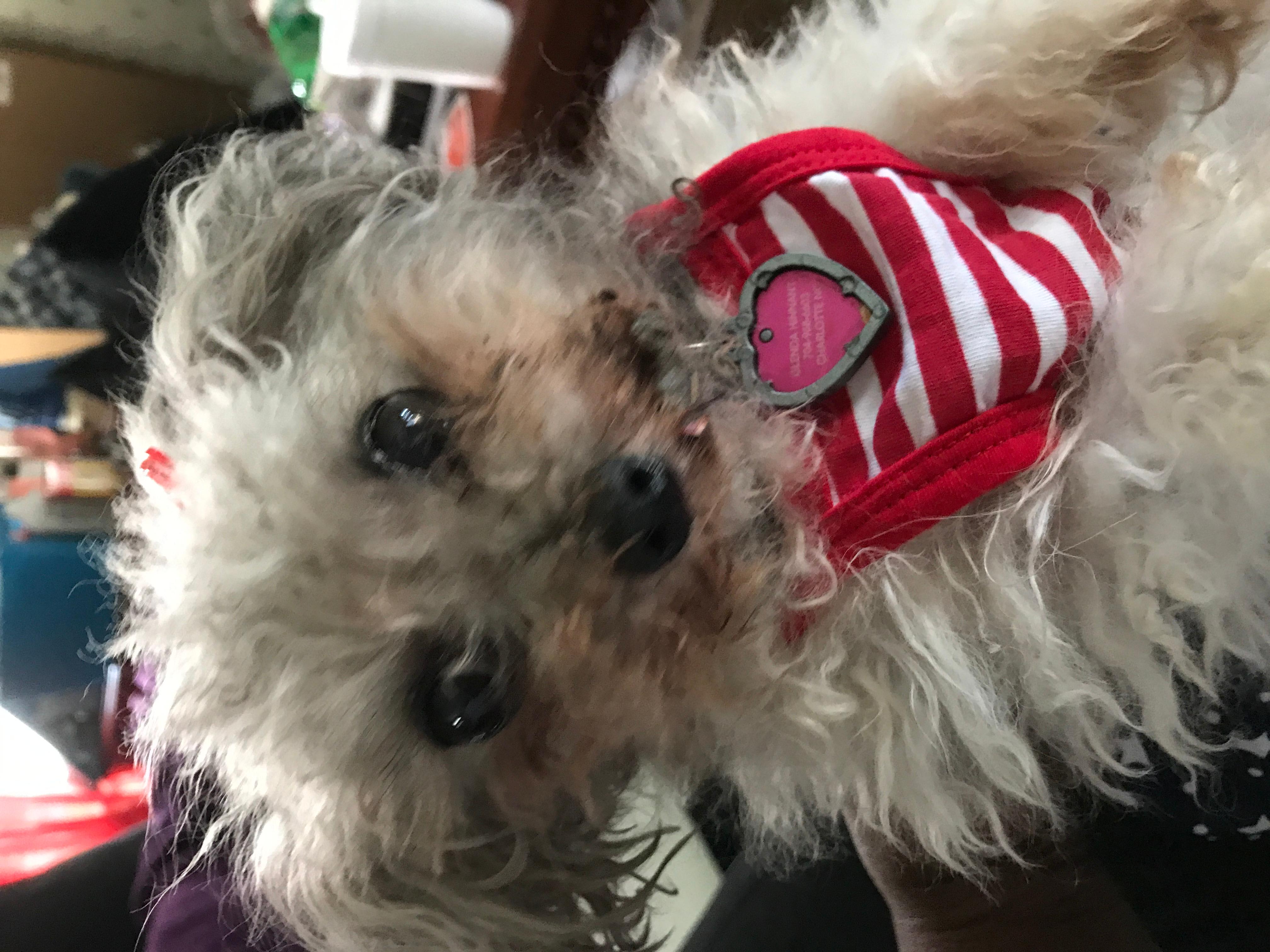 Question details sensitive content