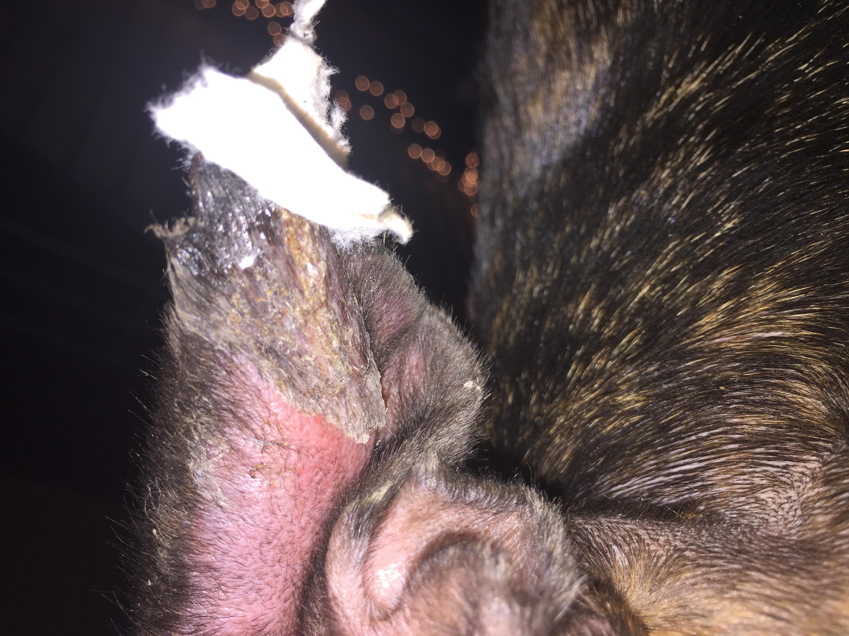 Question details sensitive content