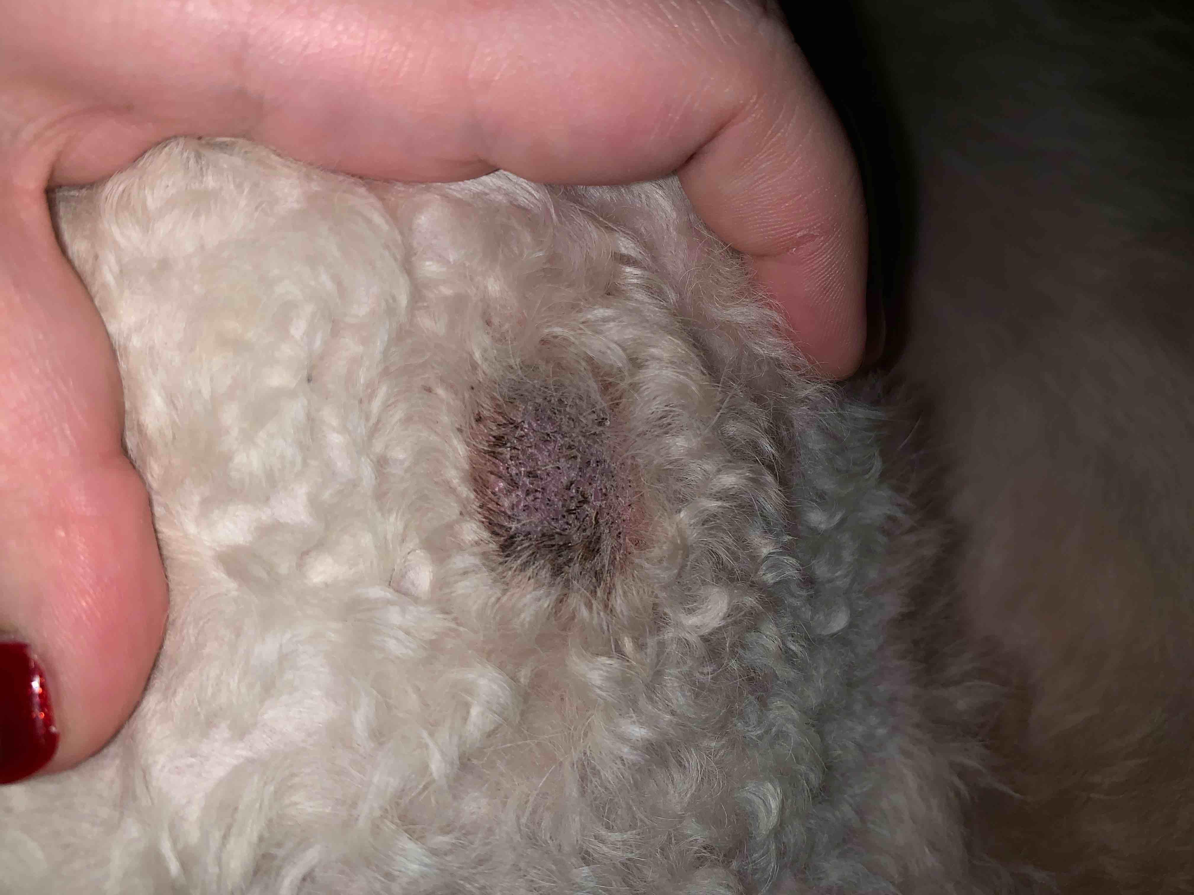 Question details sensitive content