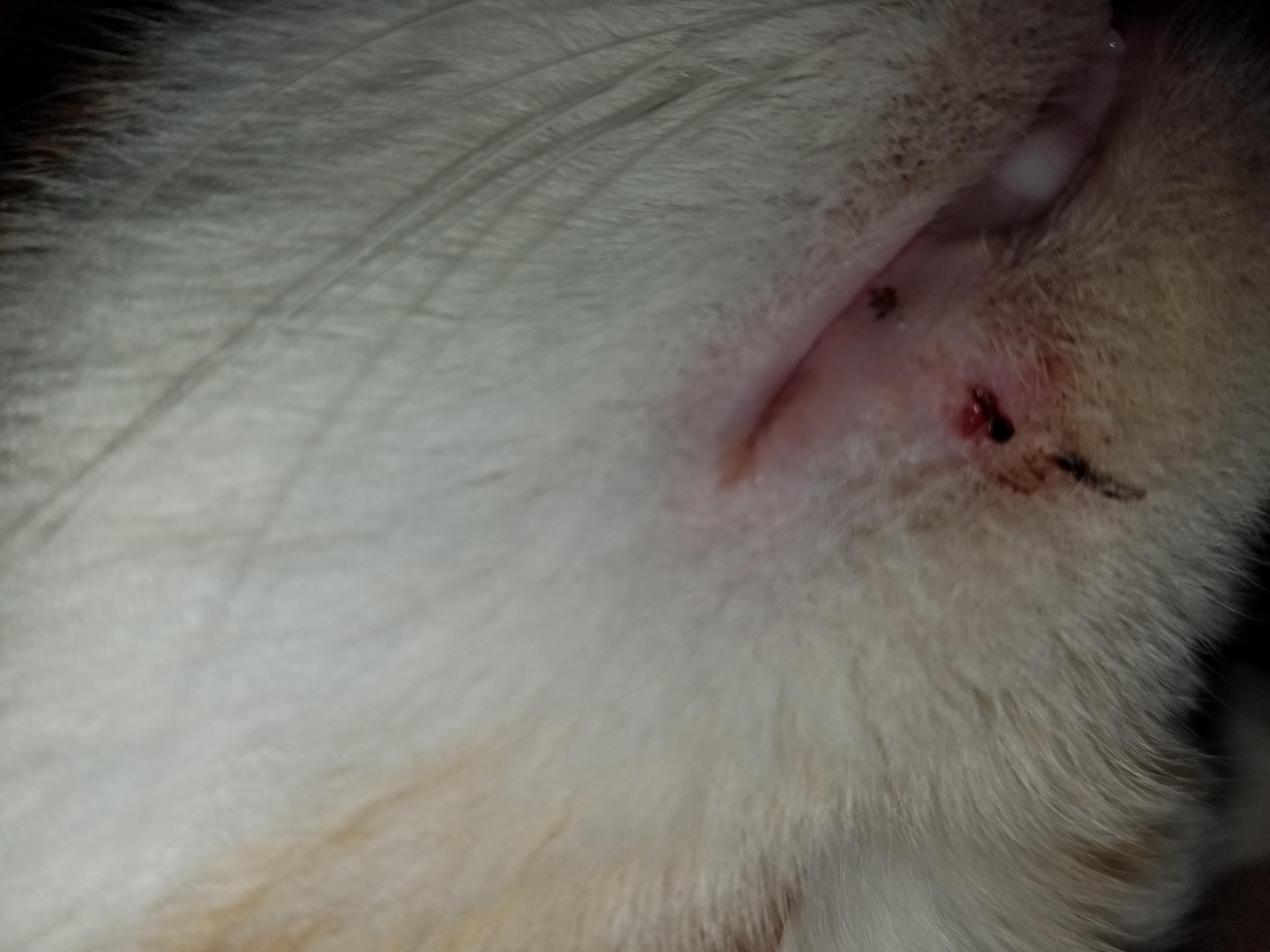 Question details sensitive content