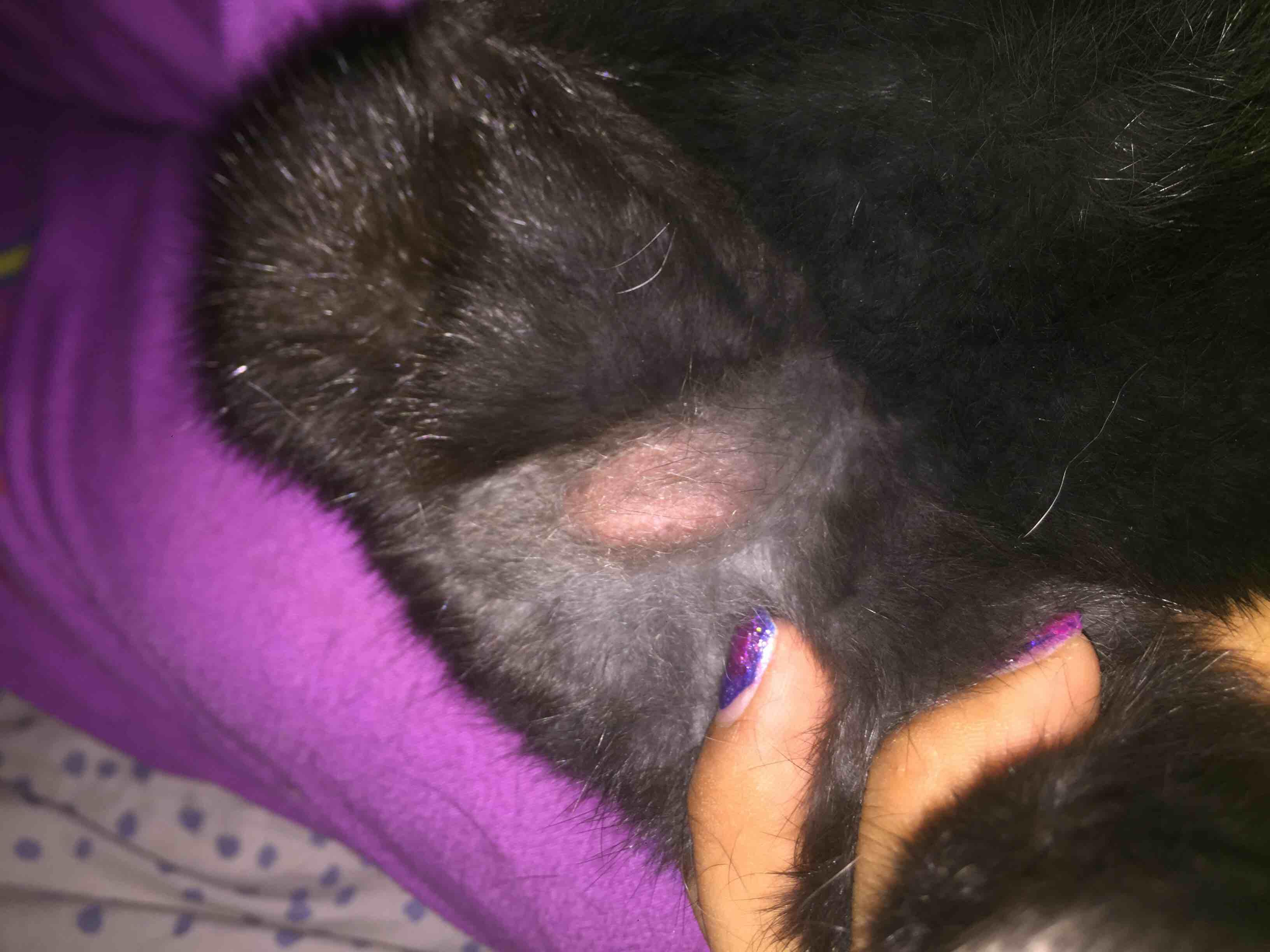 Question details sensitive content