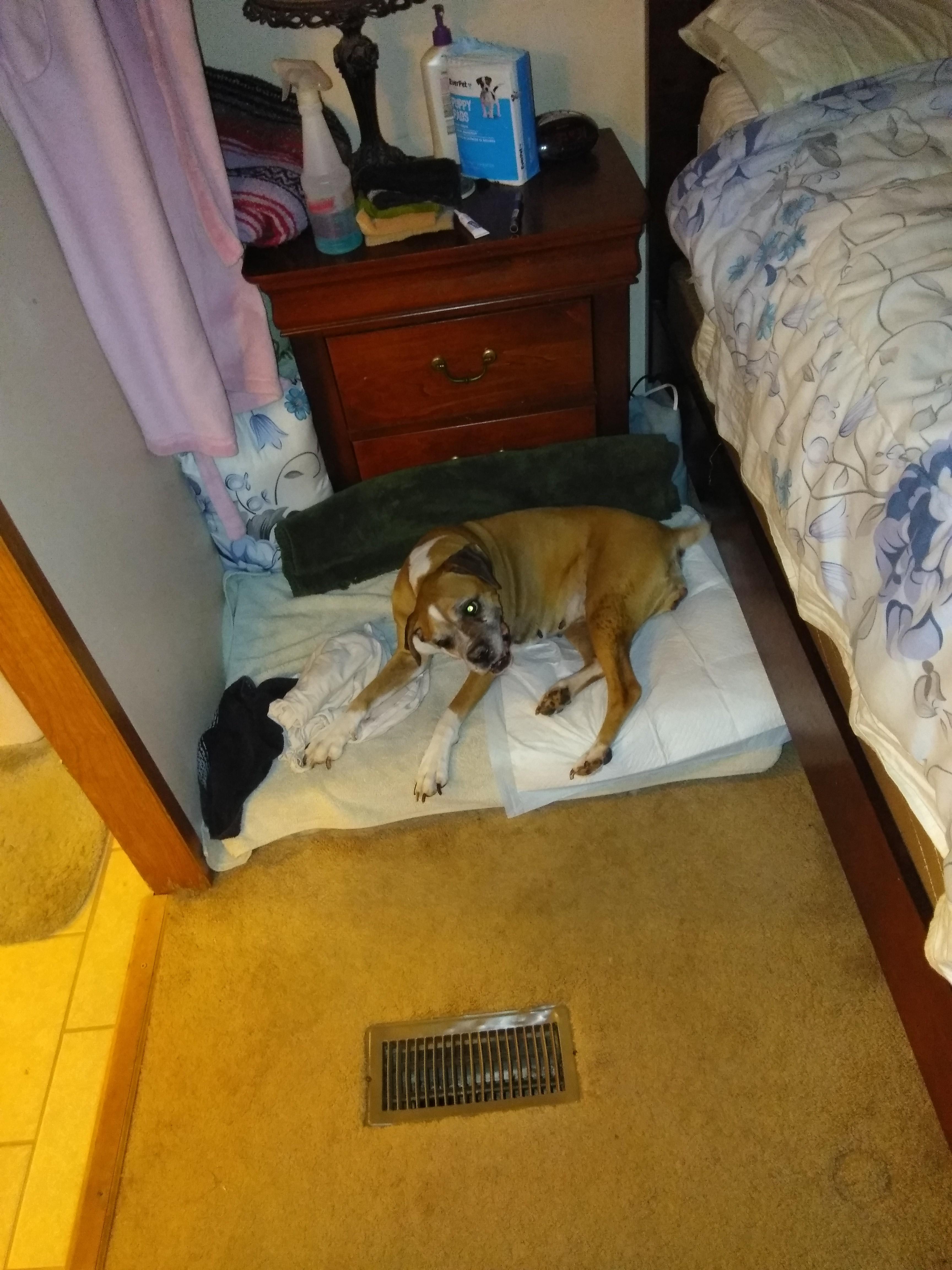 Question details sensitive content