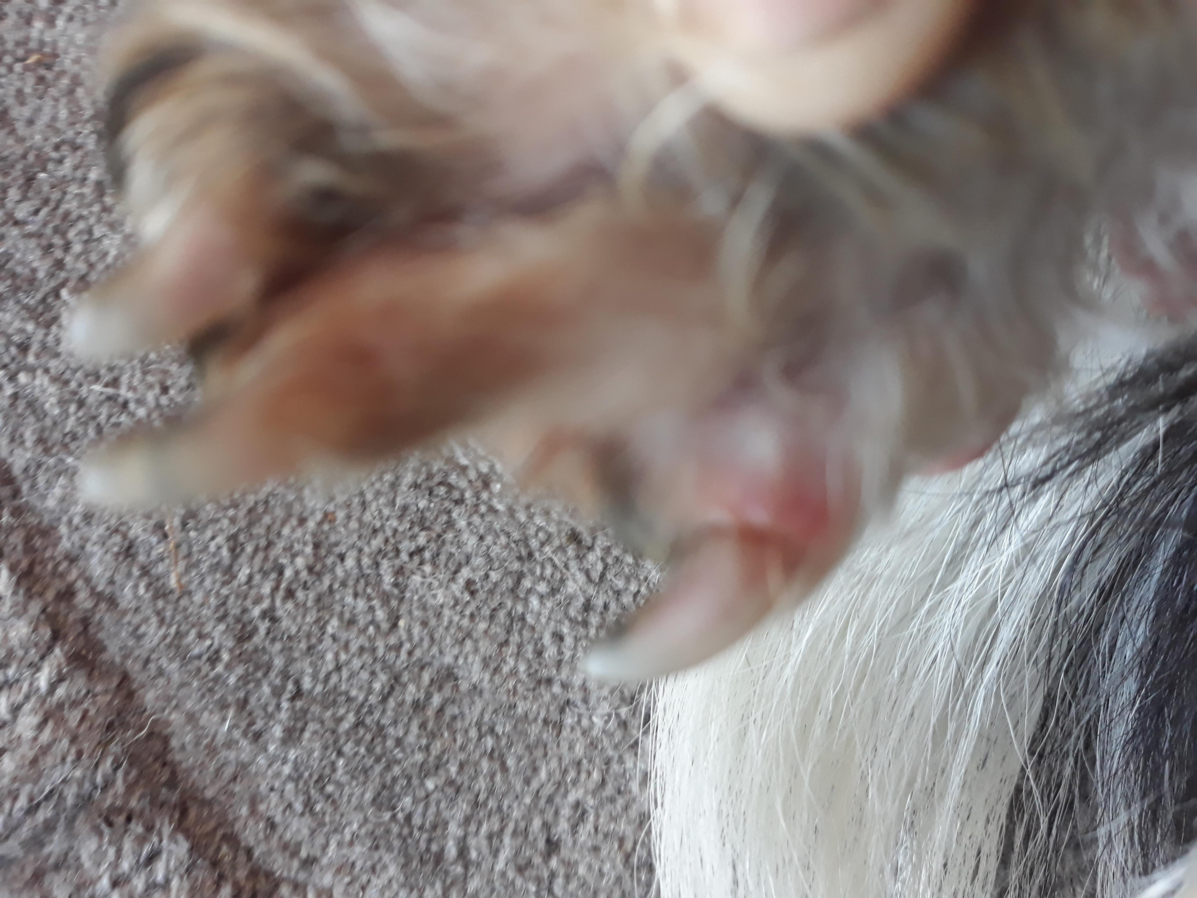 Question details sensitive content