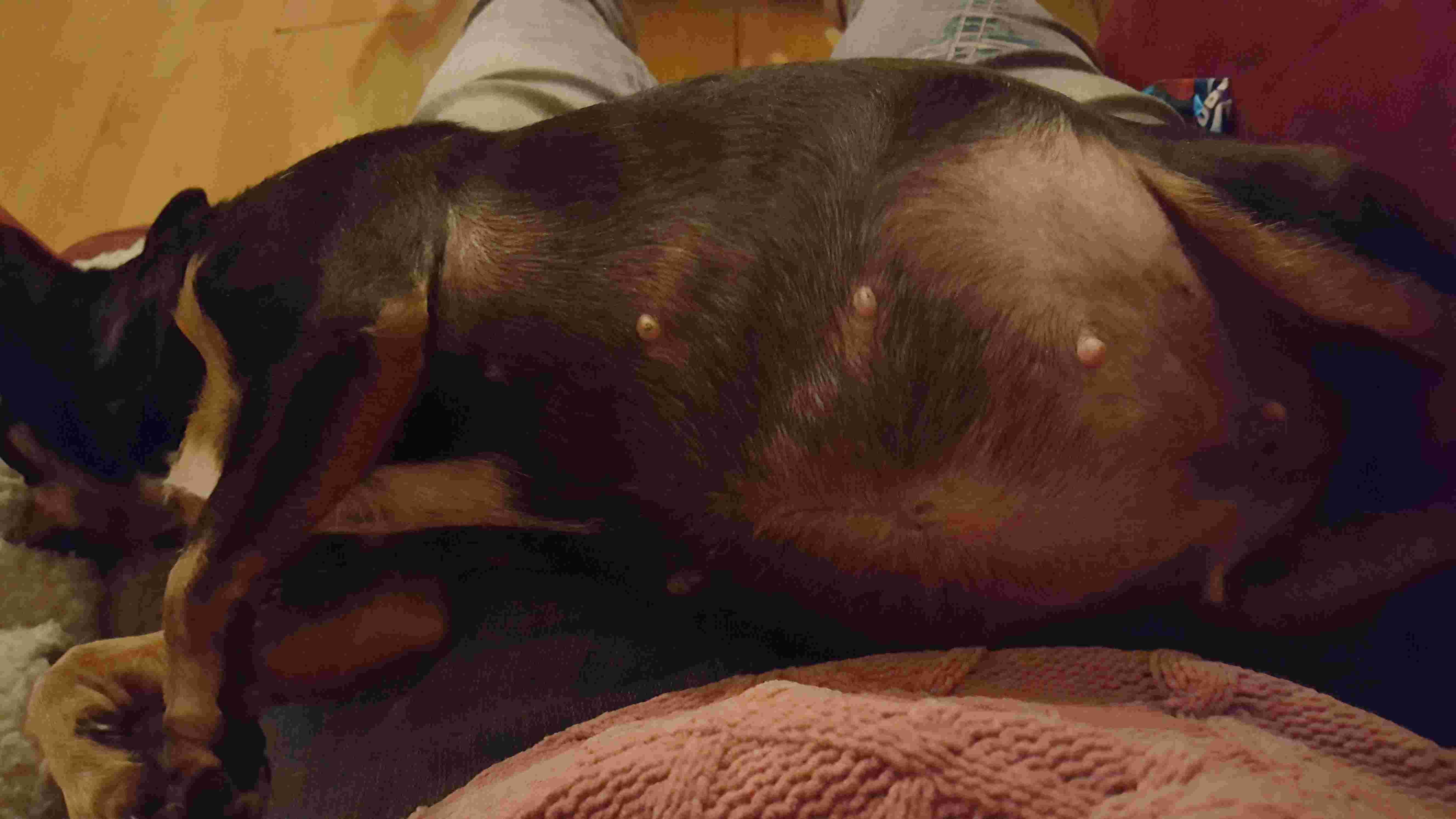 Question details sensitive content