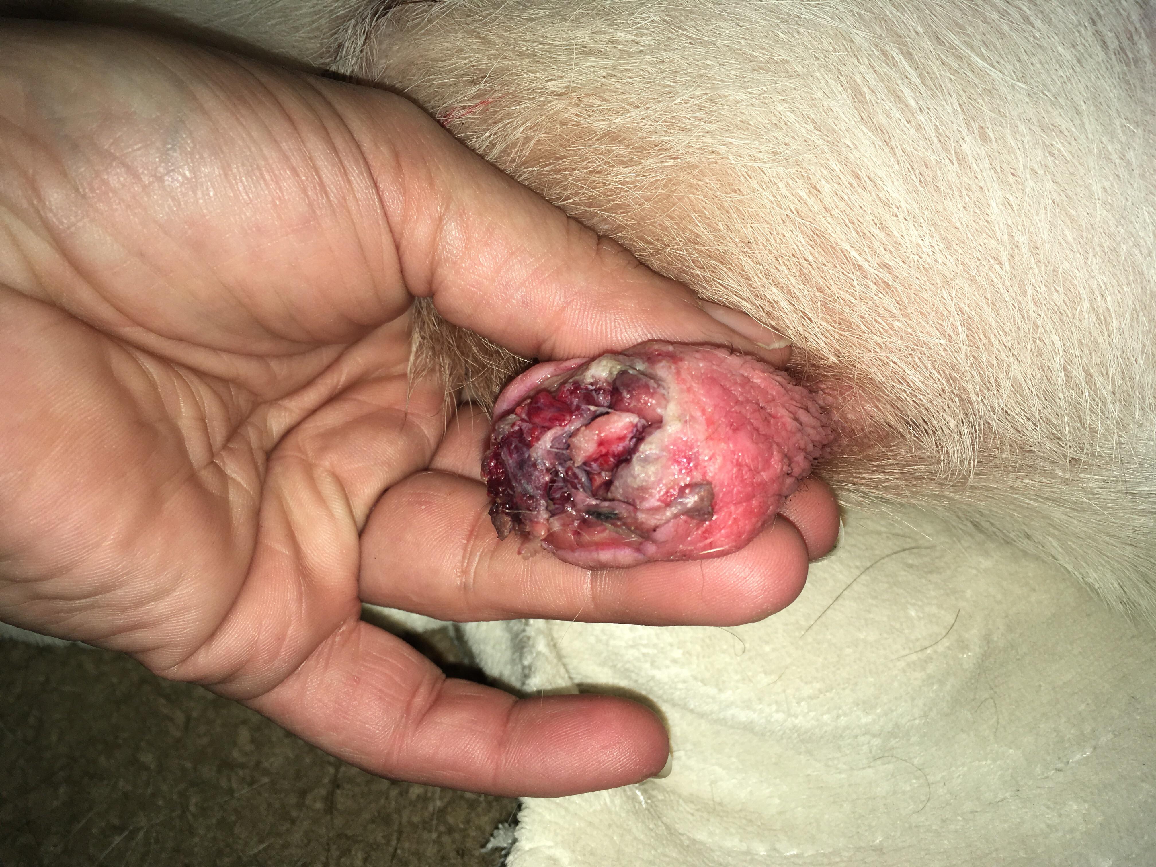 Question details sensitive content