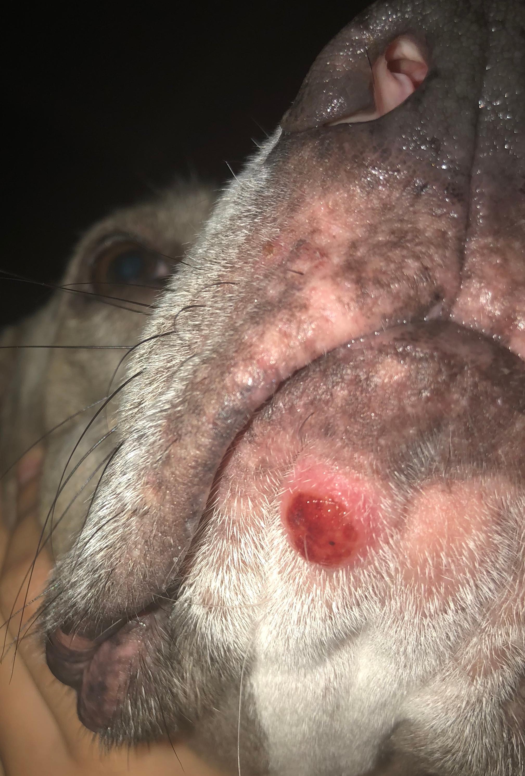 Question details sensitive content