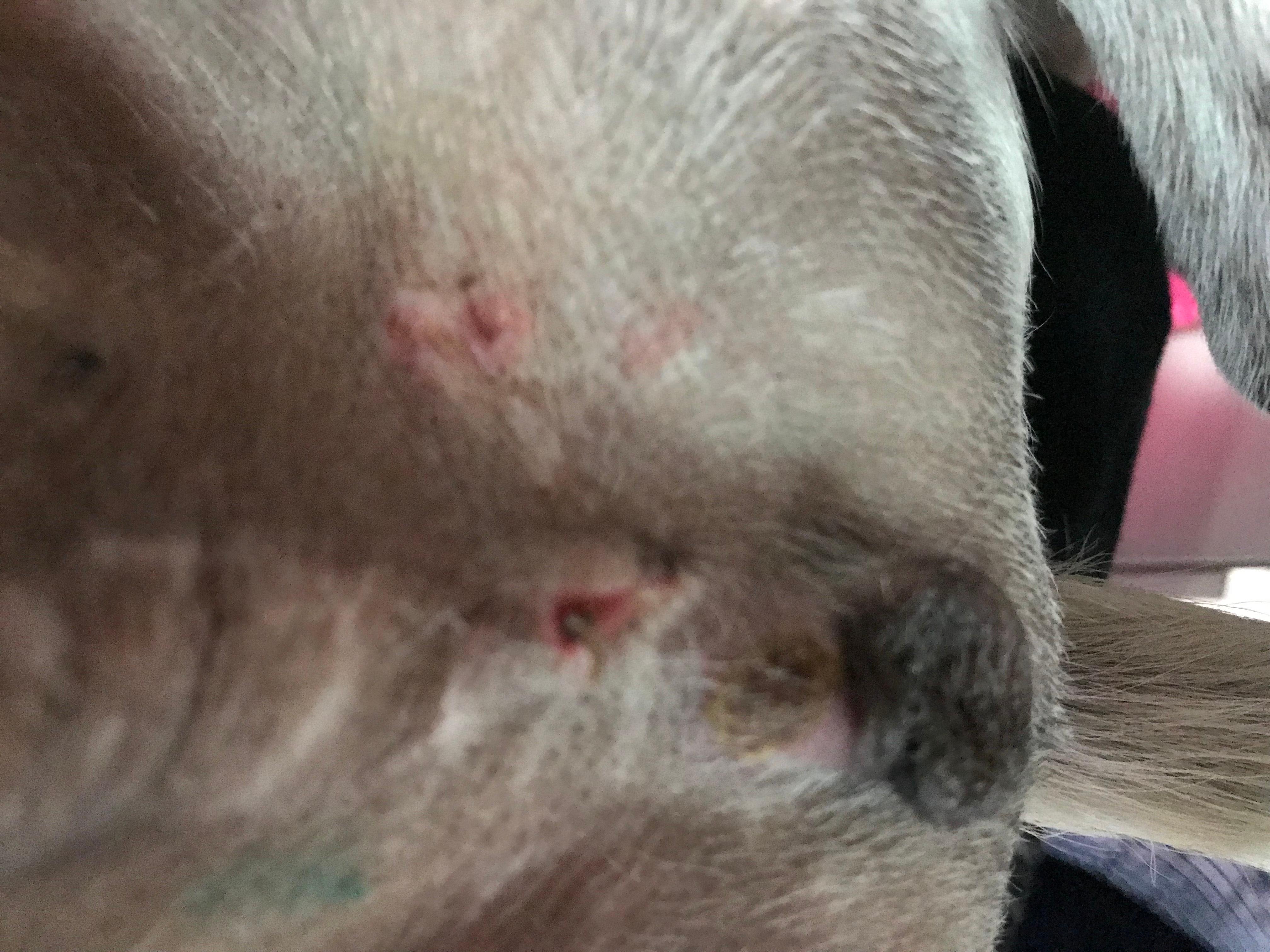 Question details sensitive content