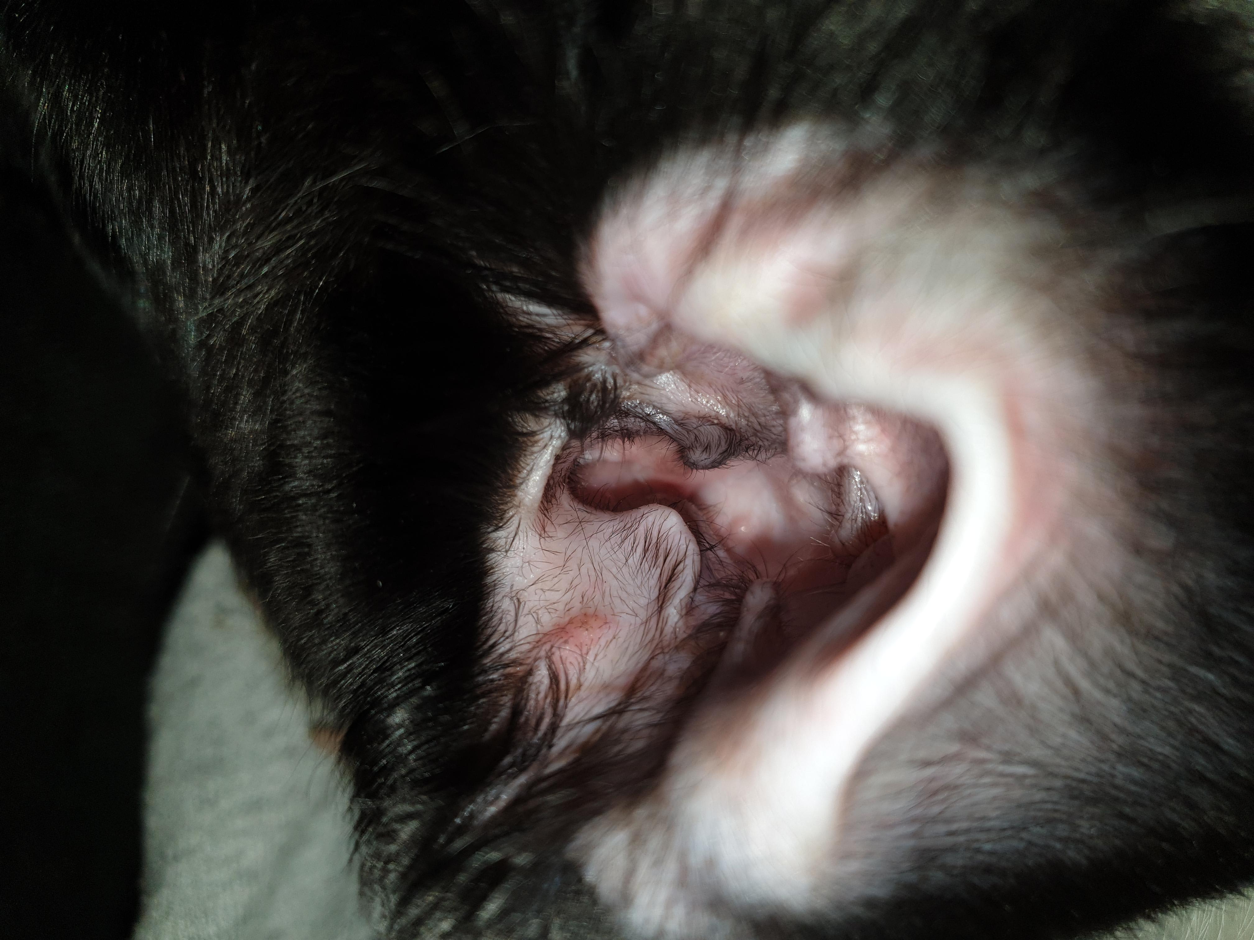 Question details sensitive content