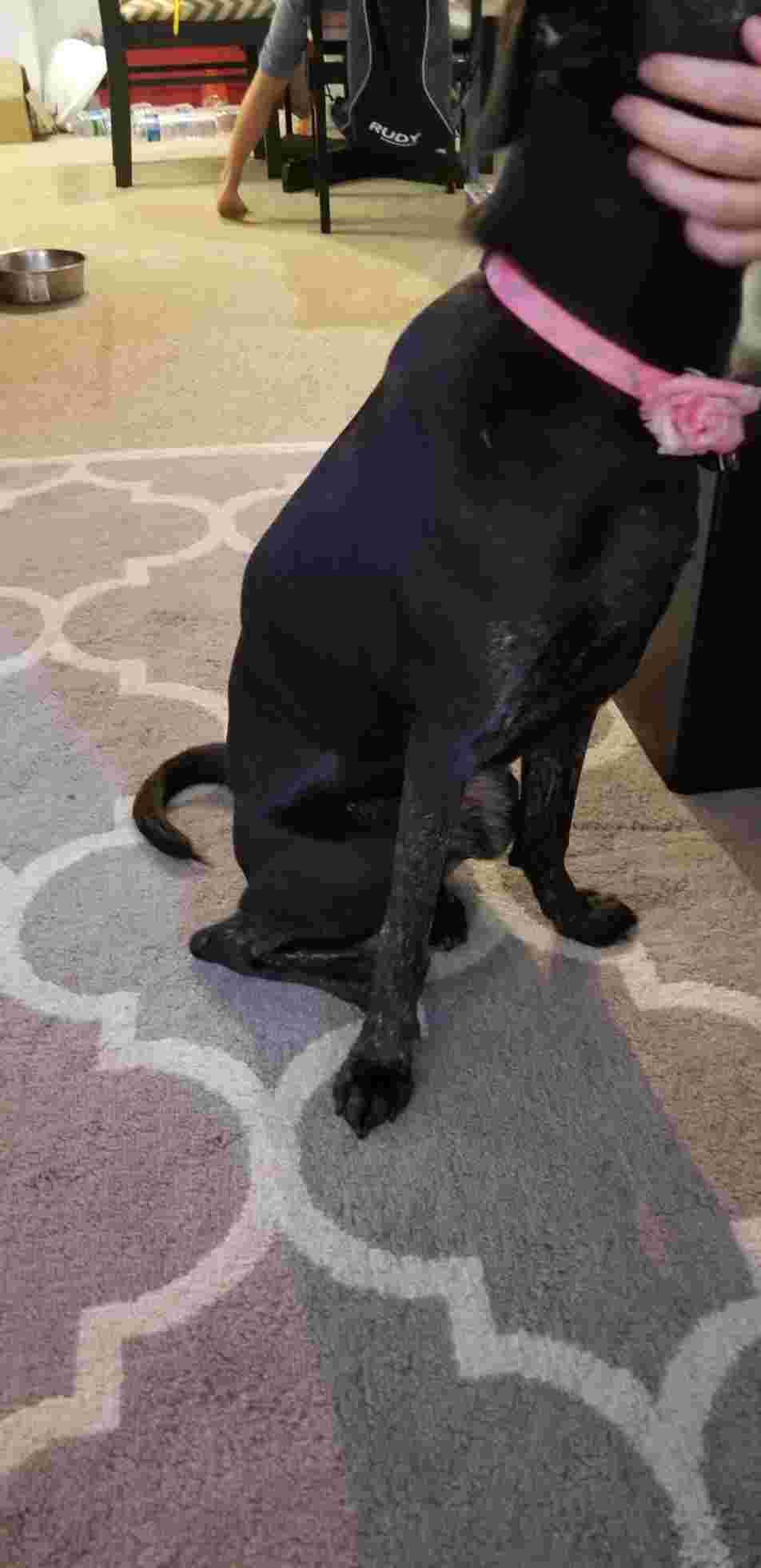 Question details sensitive content