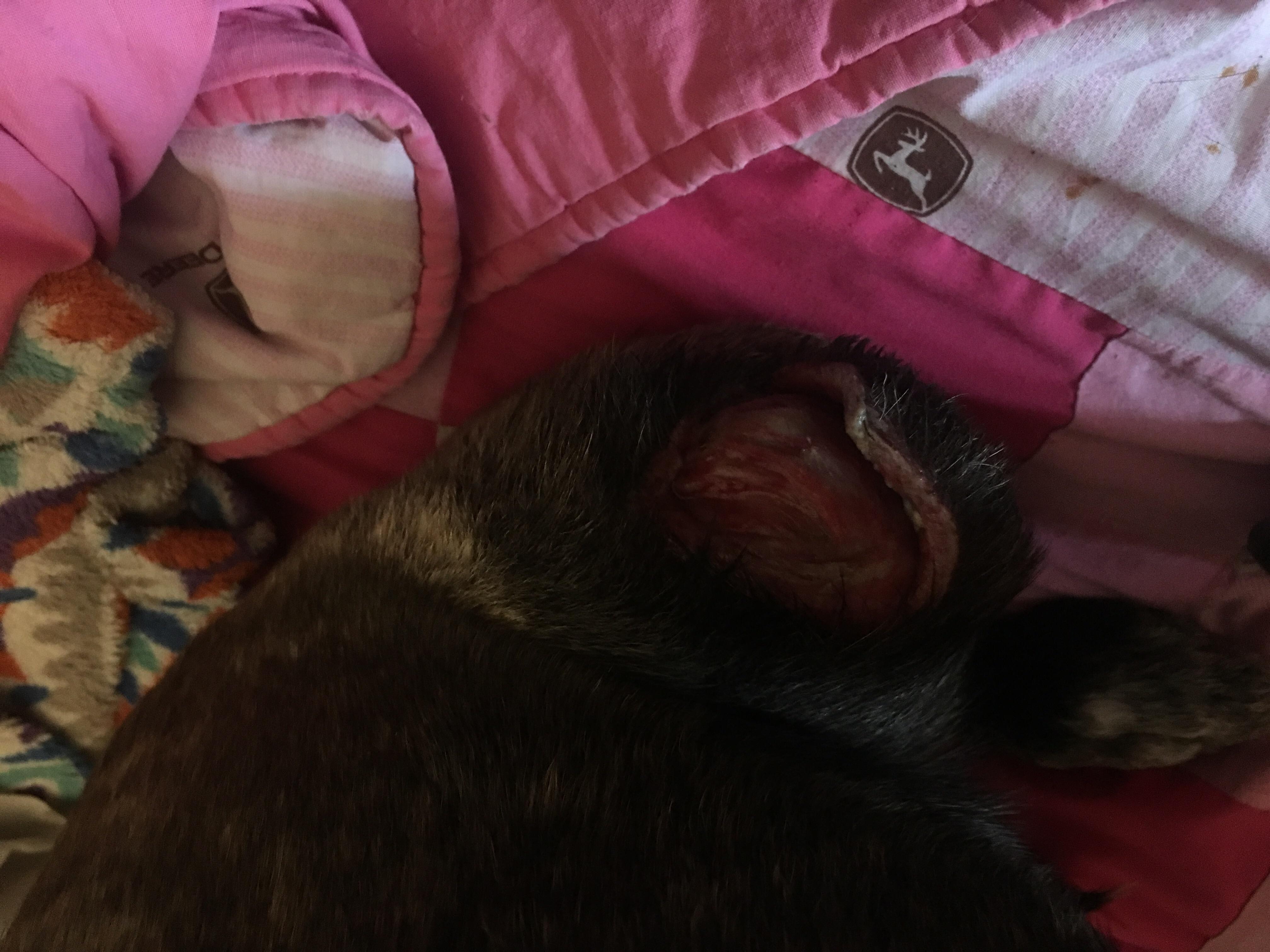 Question details sensitive content