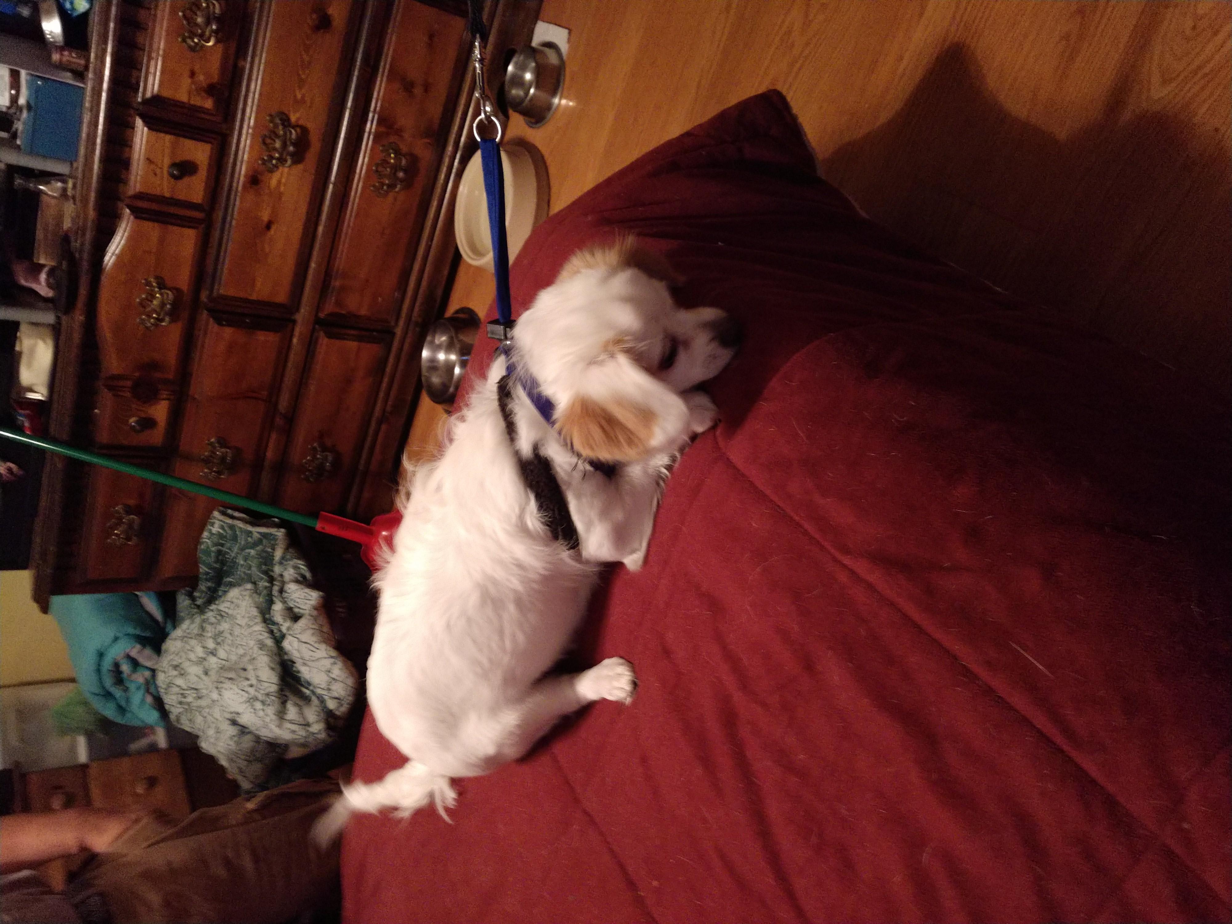 Question details sensitive content