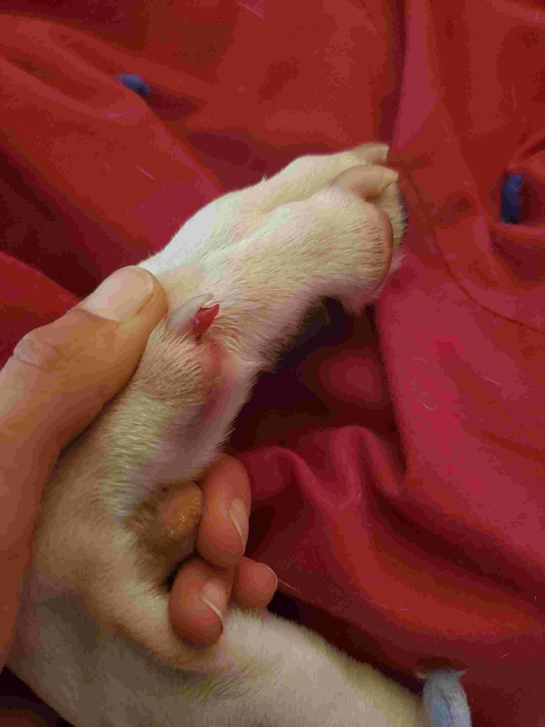 Question details sensitive content