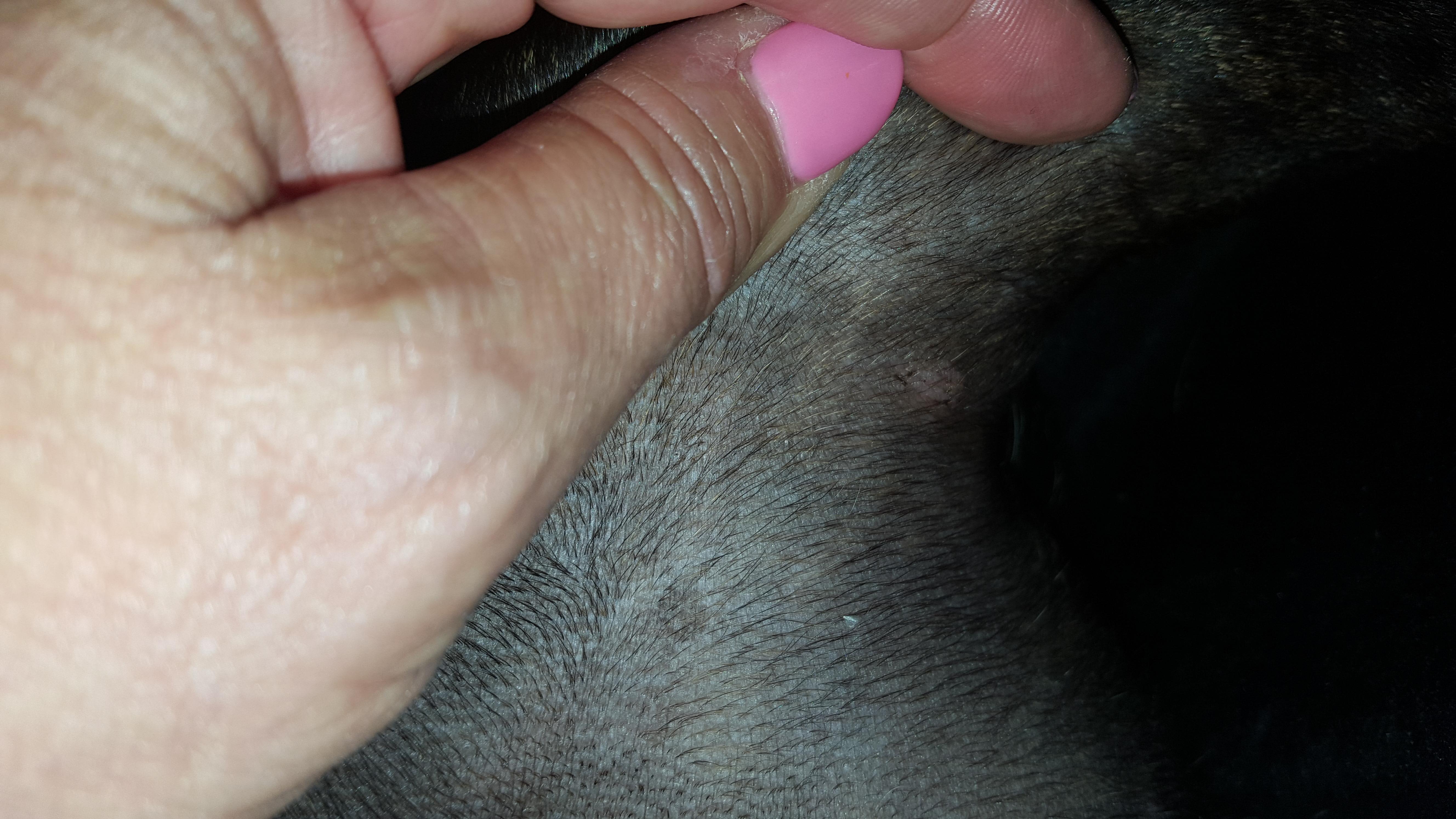 Question details sensitive content