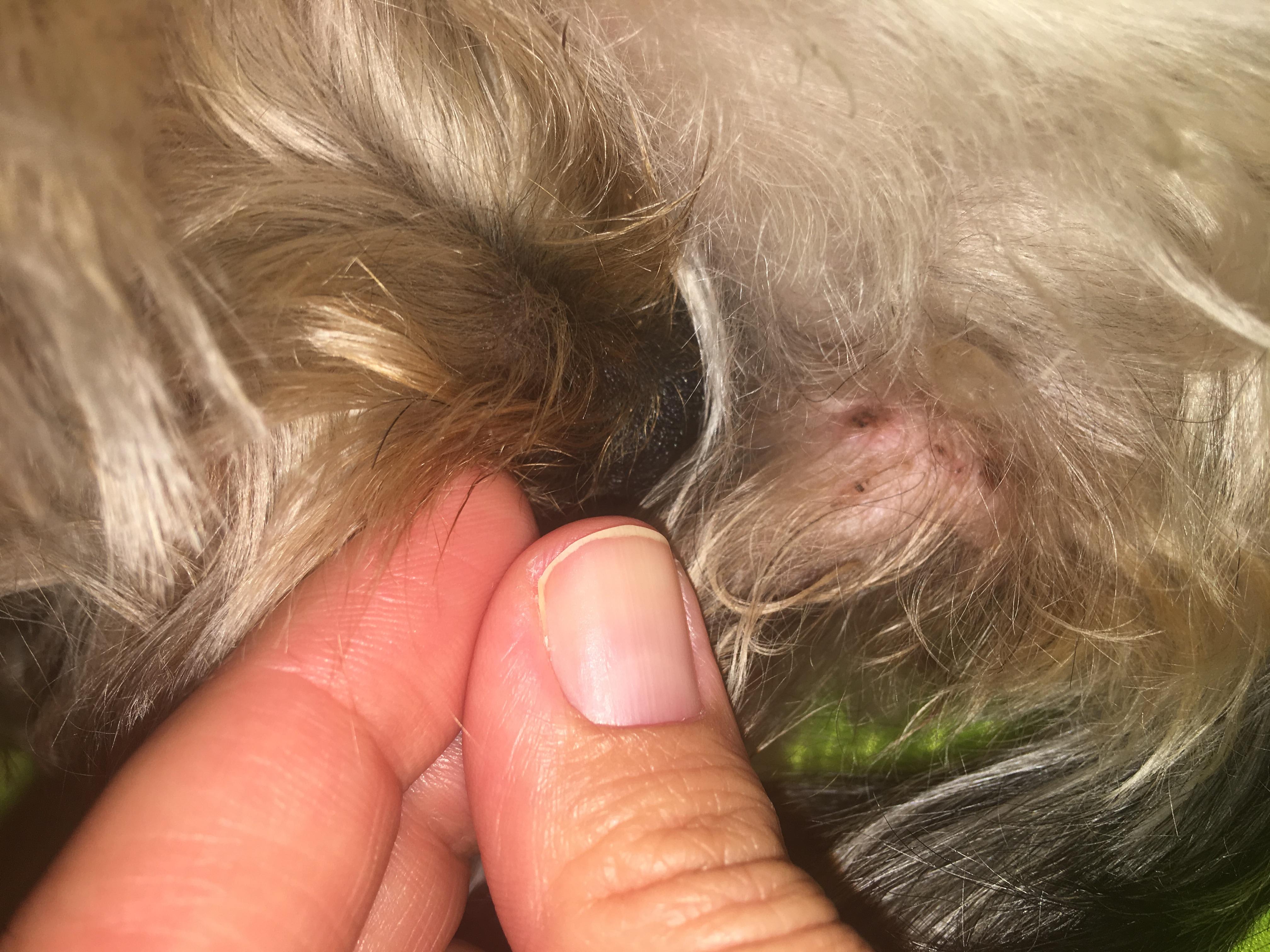 Question details sensitive content