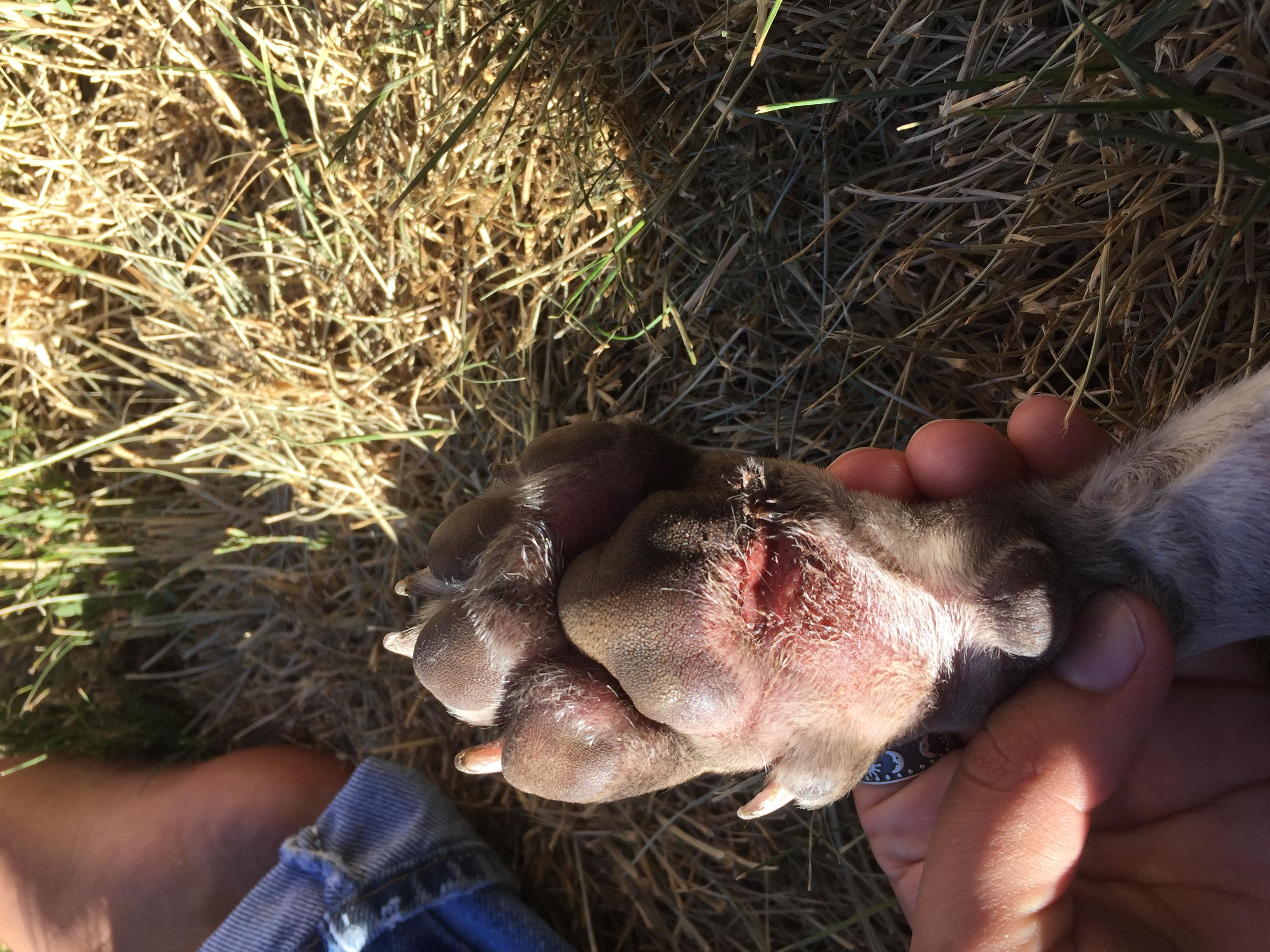 Question details sensitive content