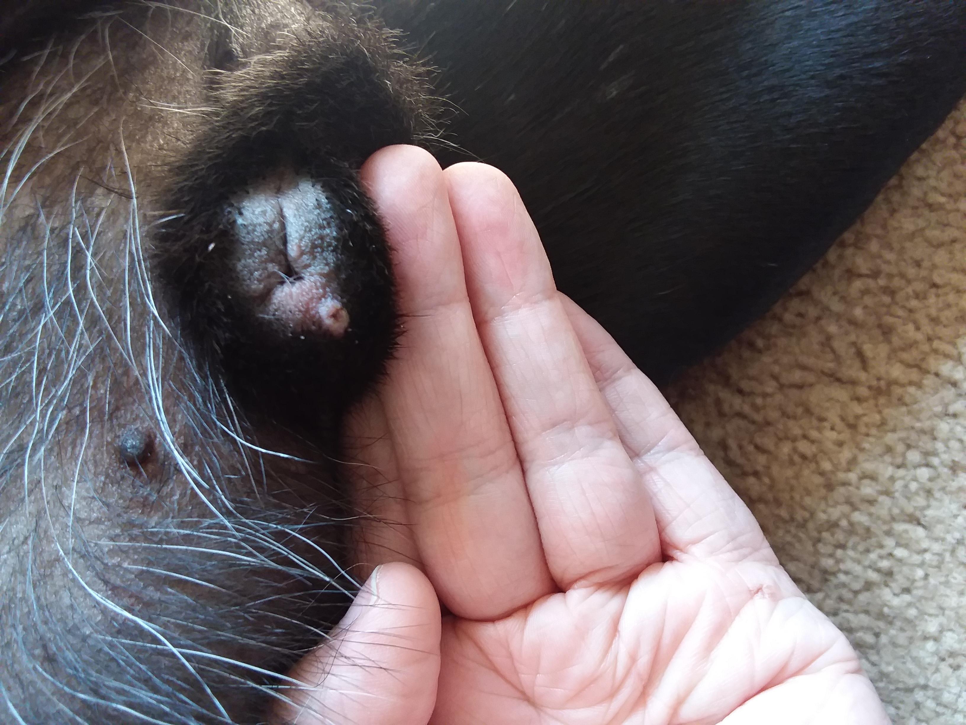 Question details sensitive content