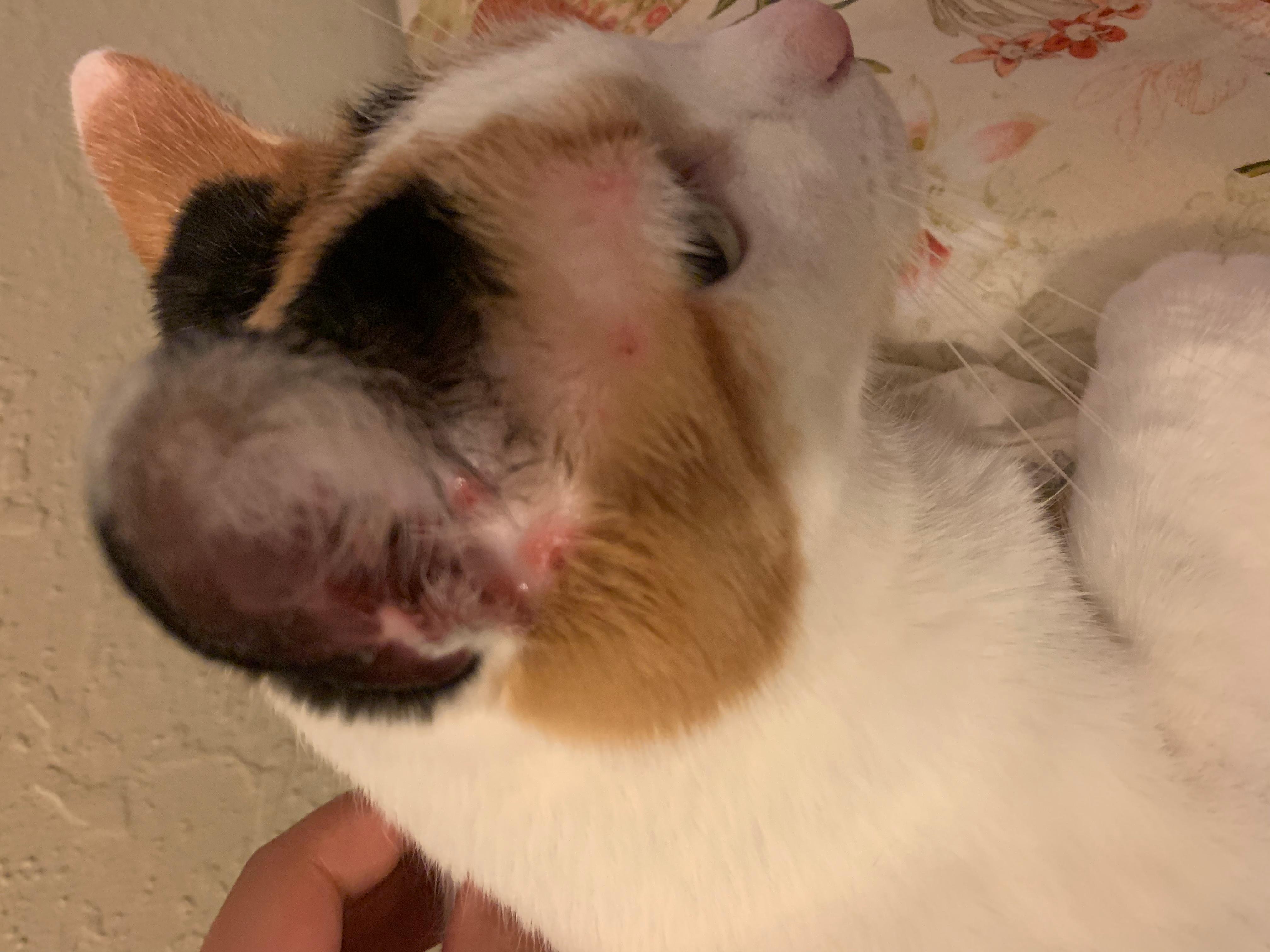 Question details sensitive content