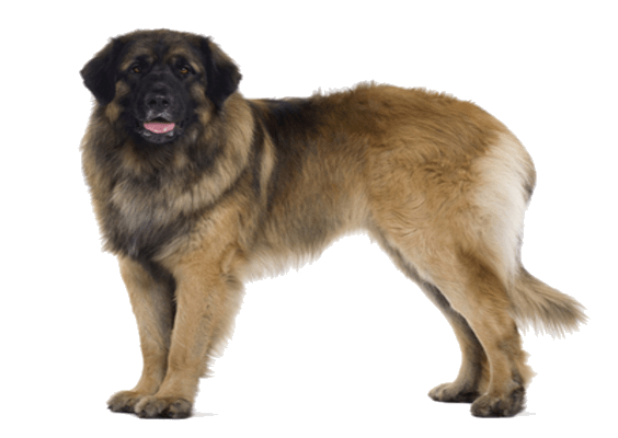 Petco Pet Education Center