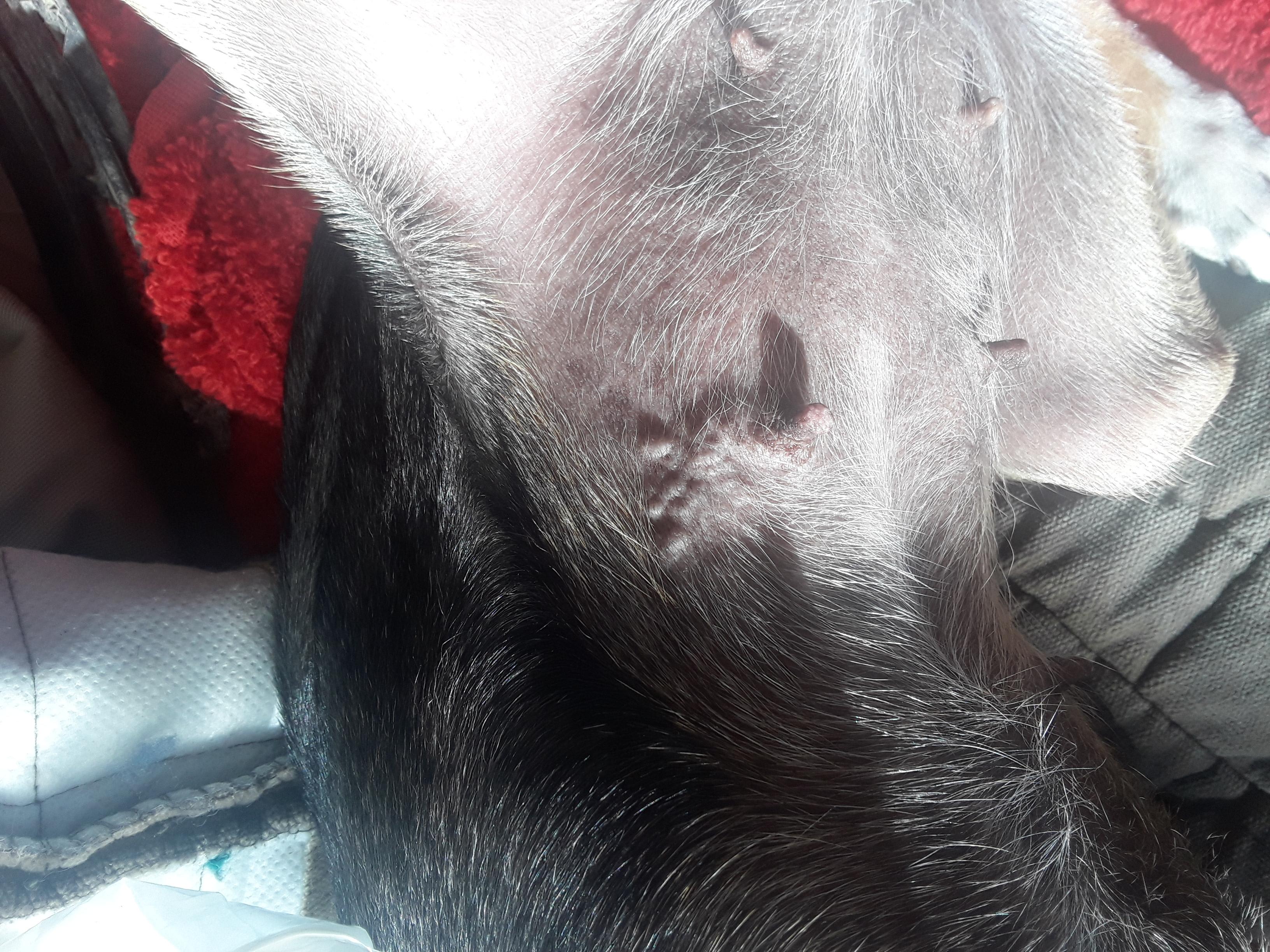 Question details sensitive content