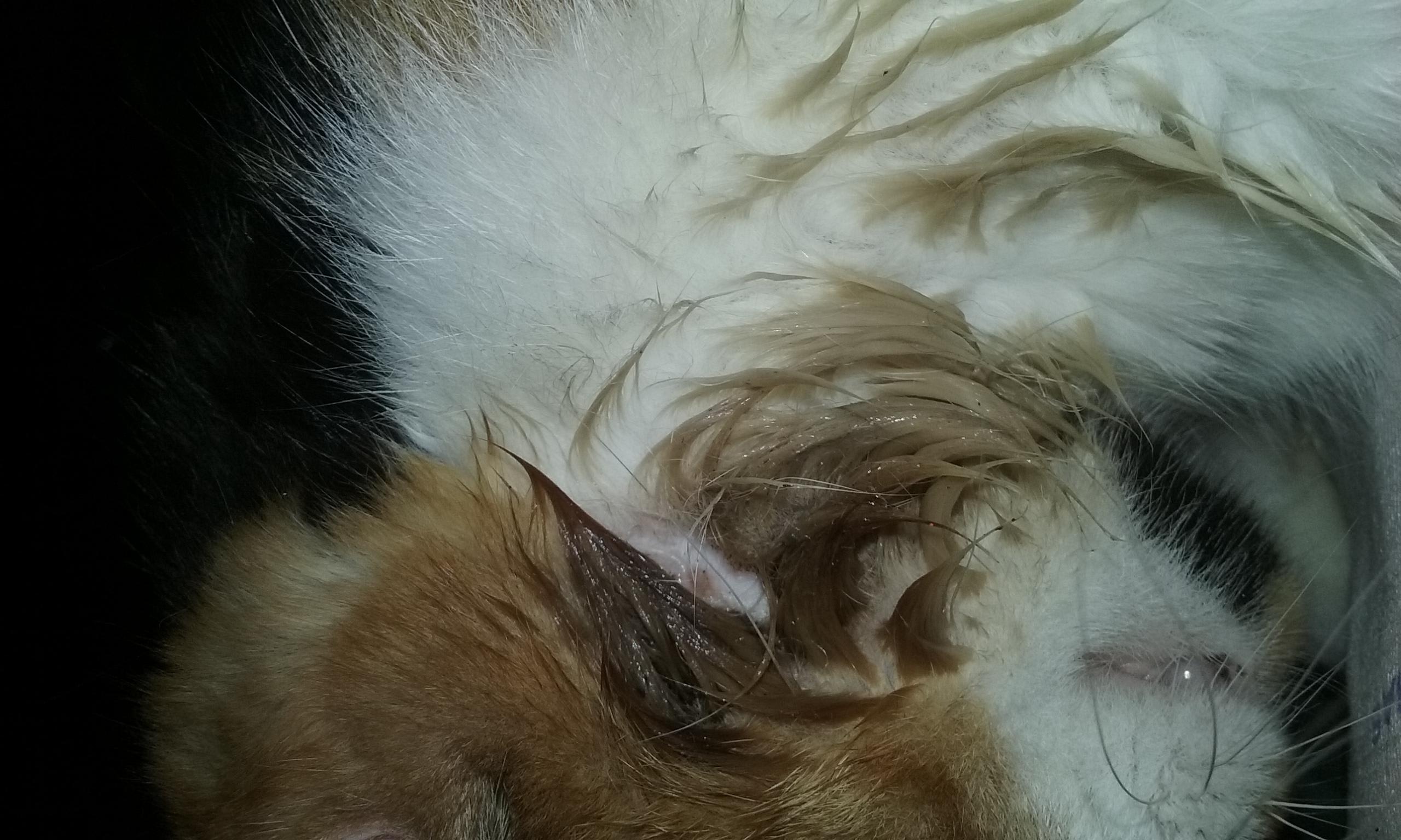 Question details sensitive content