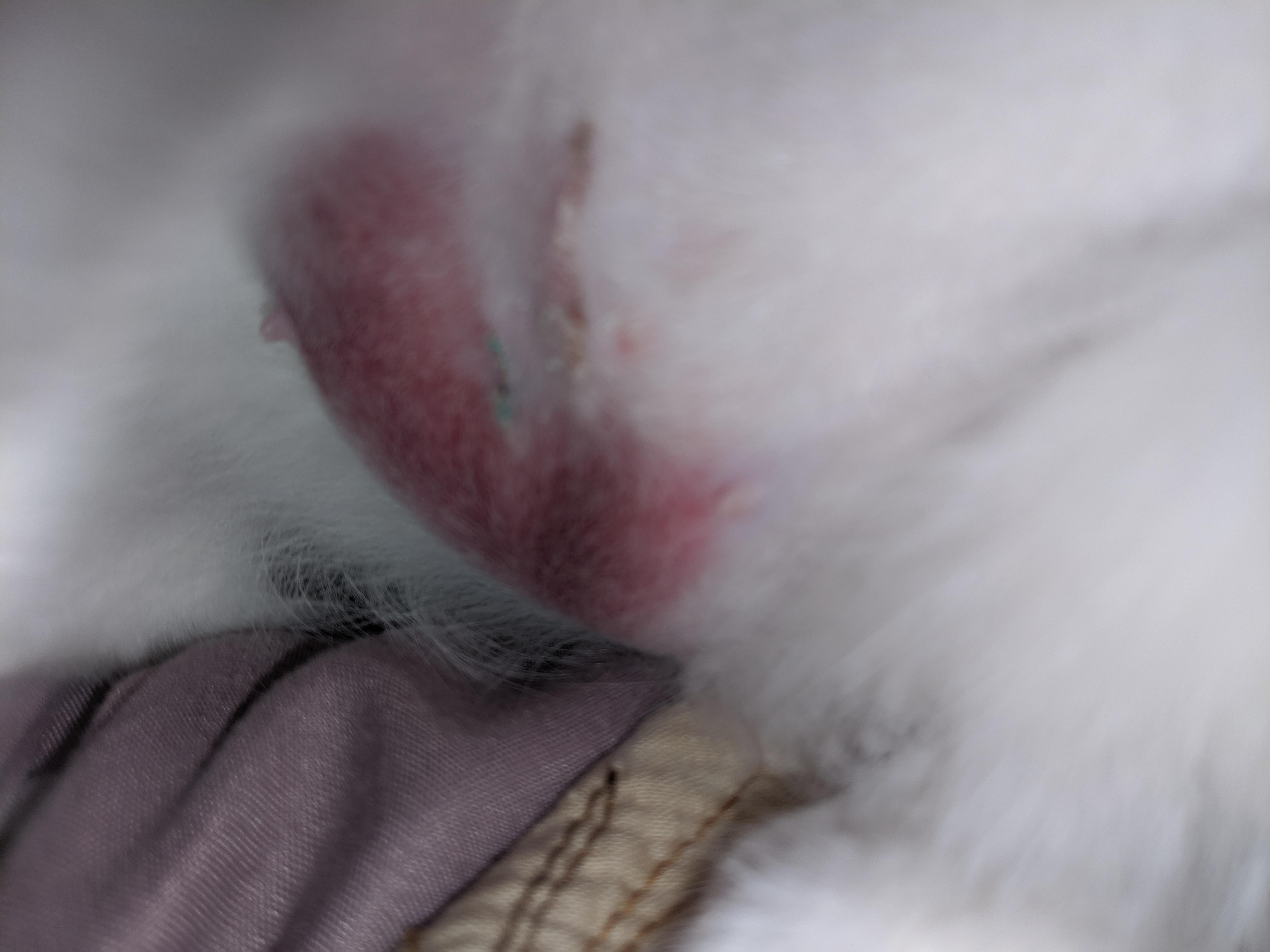 Question details sensitive content