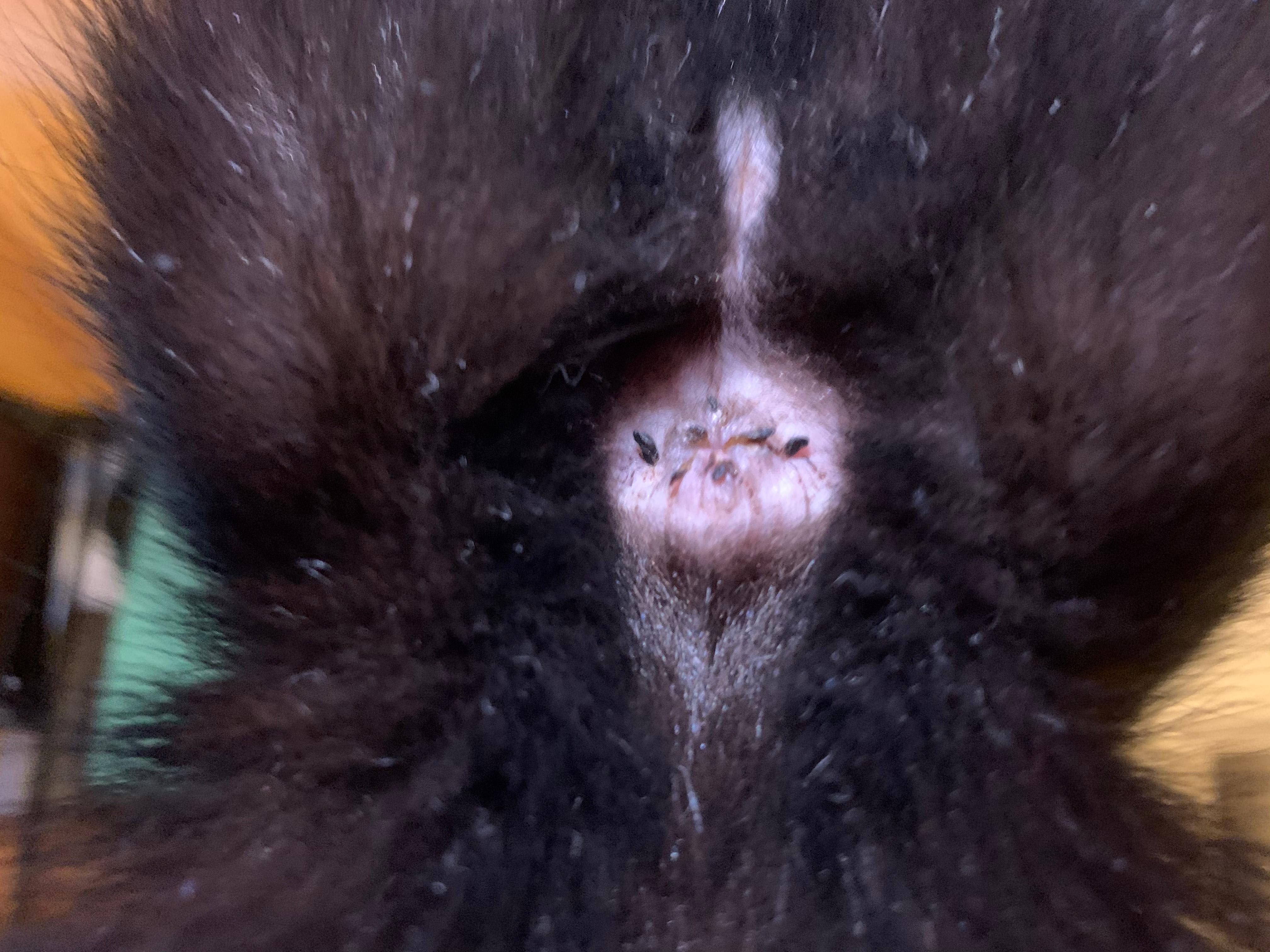 Question details sensitive content