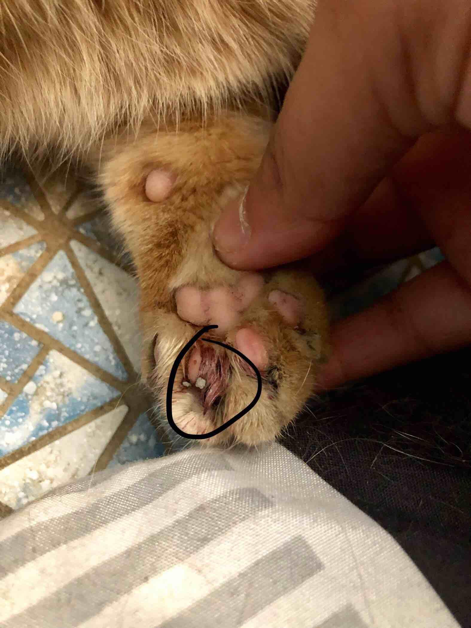 Question details sensitive content