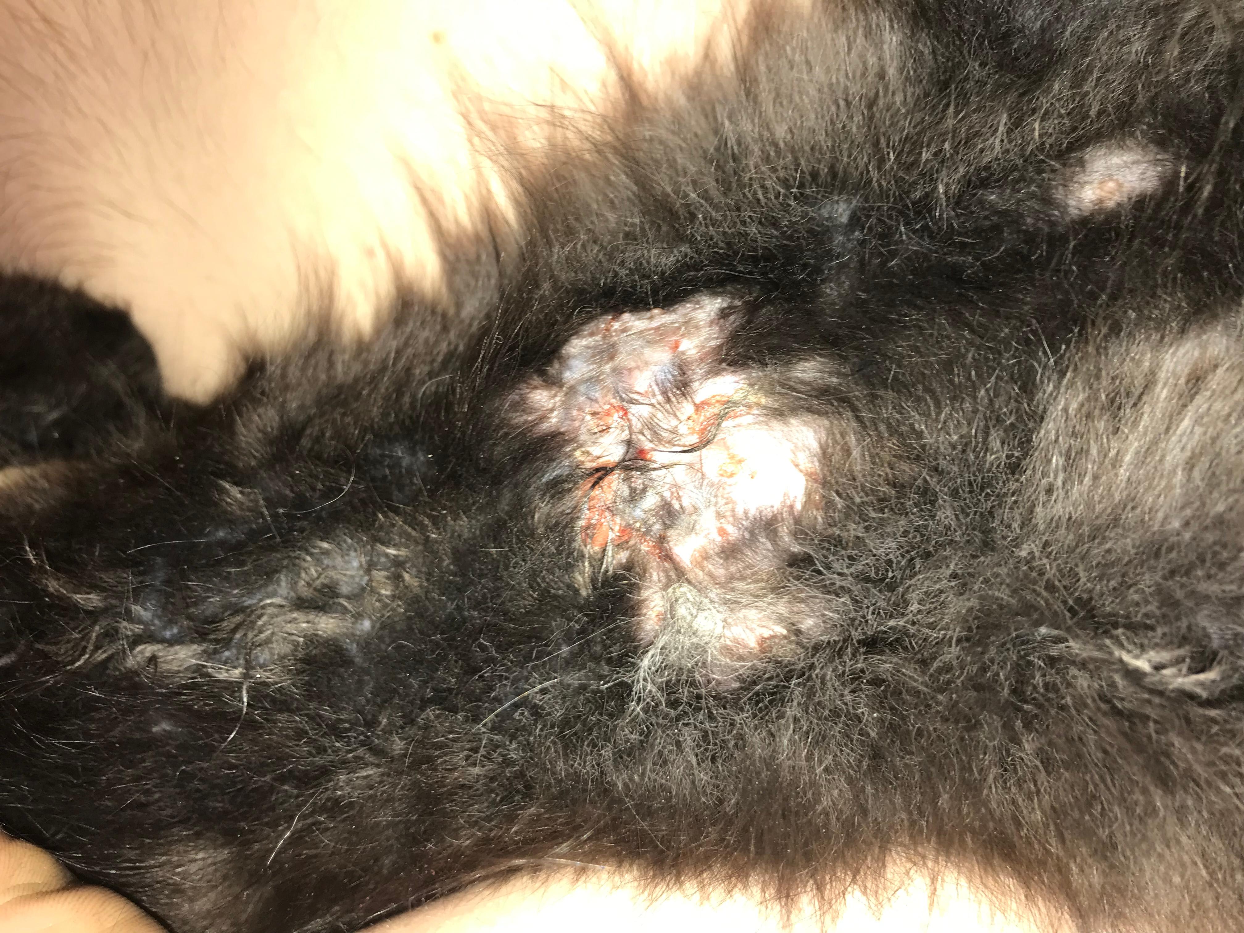 Question details sensitive content