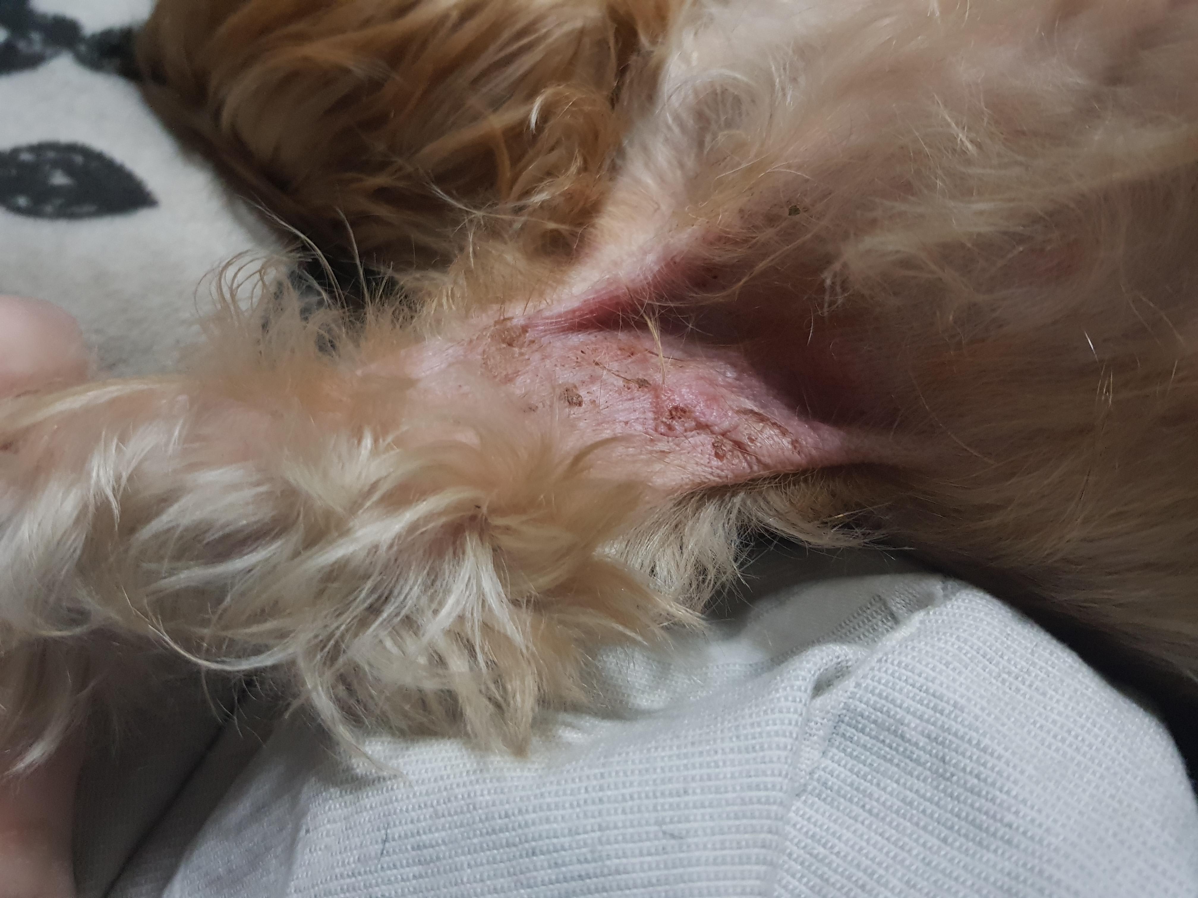 Question details sensitive content