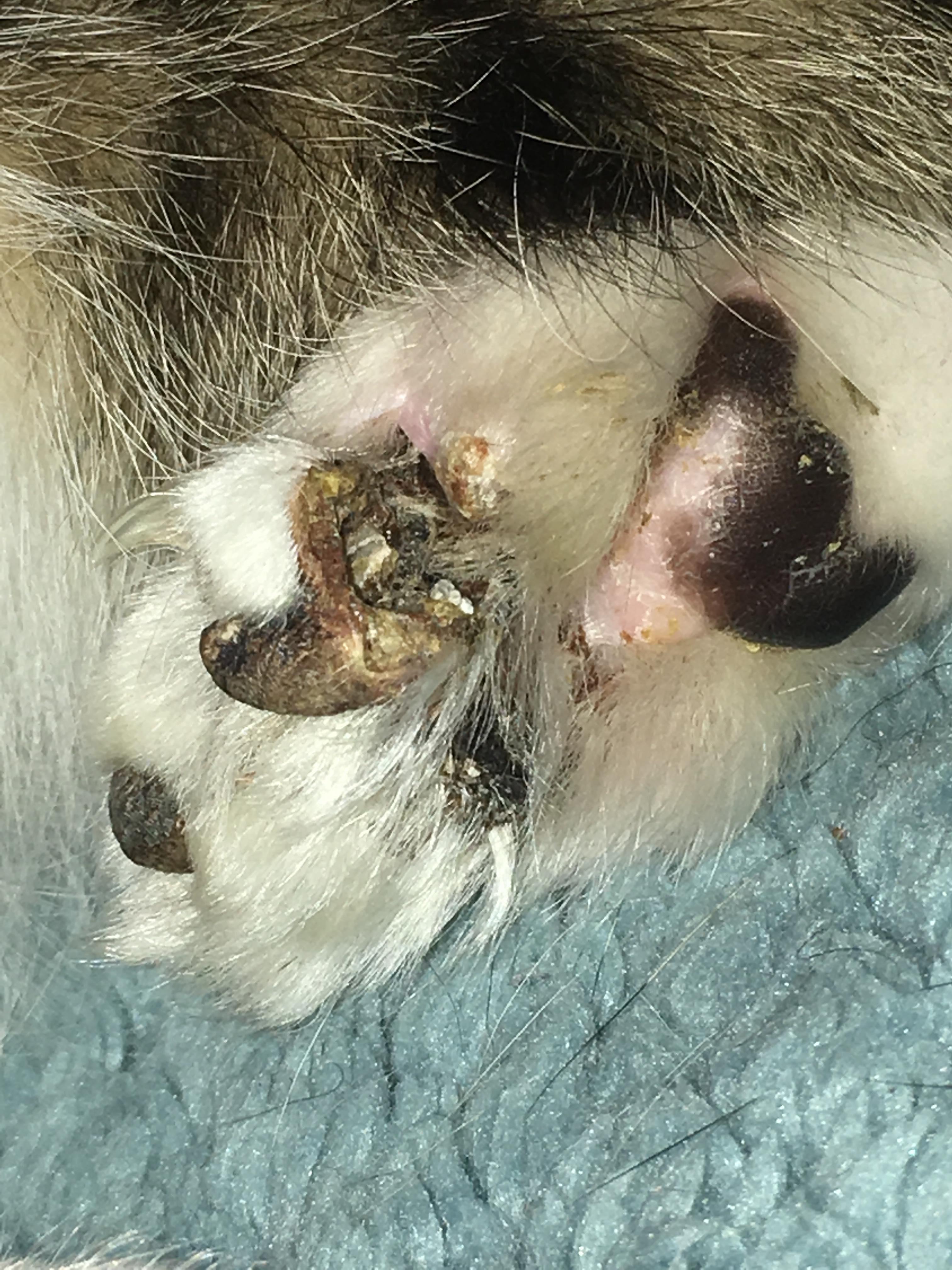 Question details sensitive content