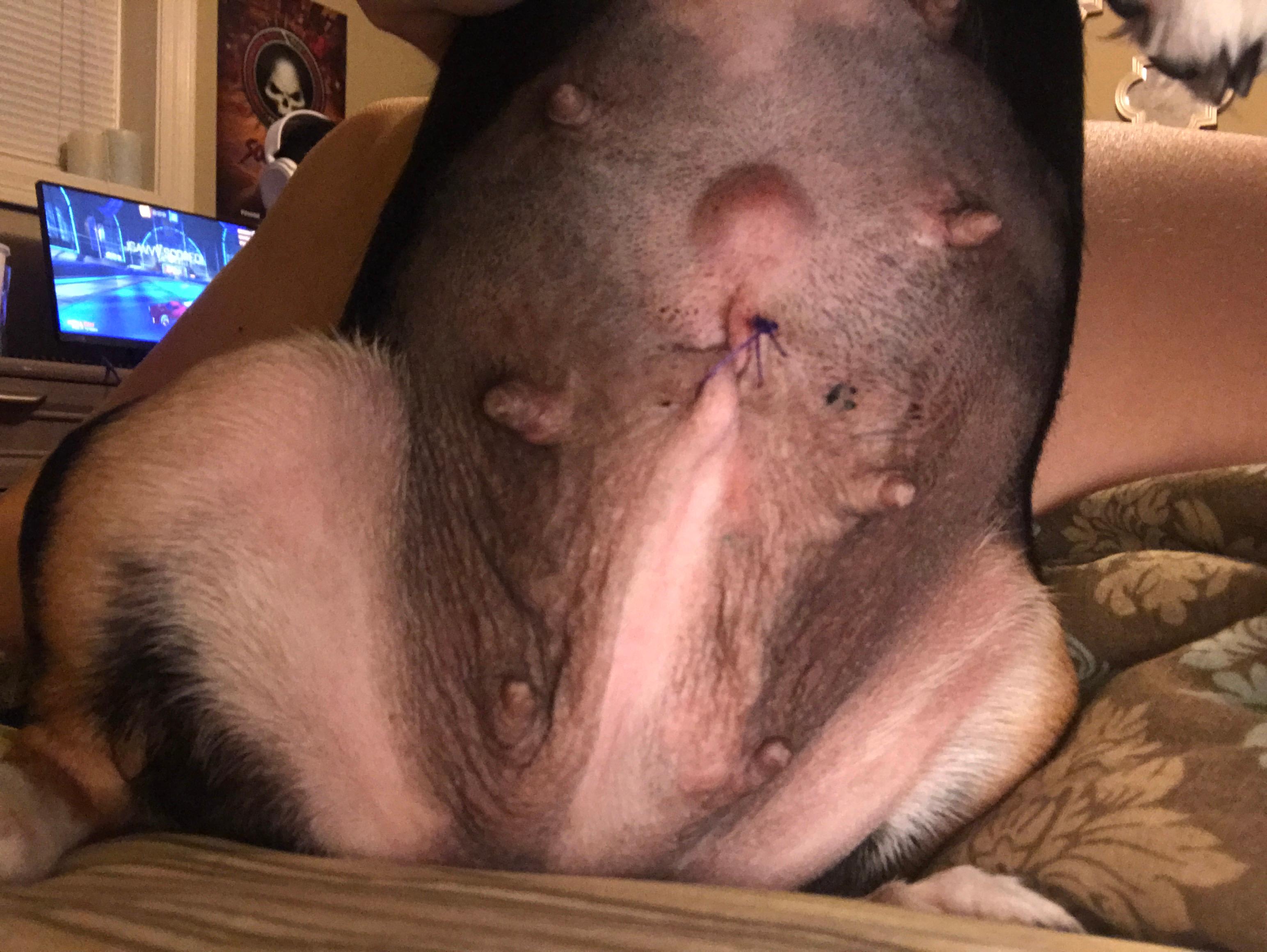 Question details sensitive content