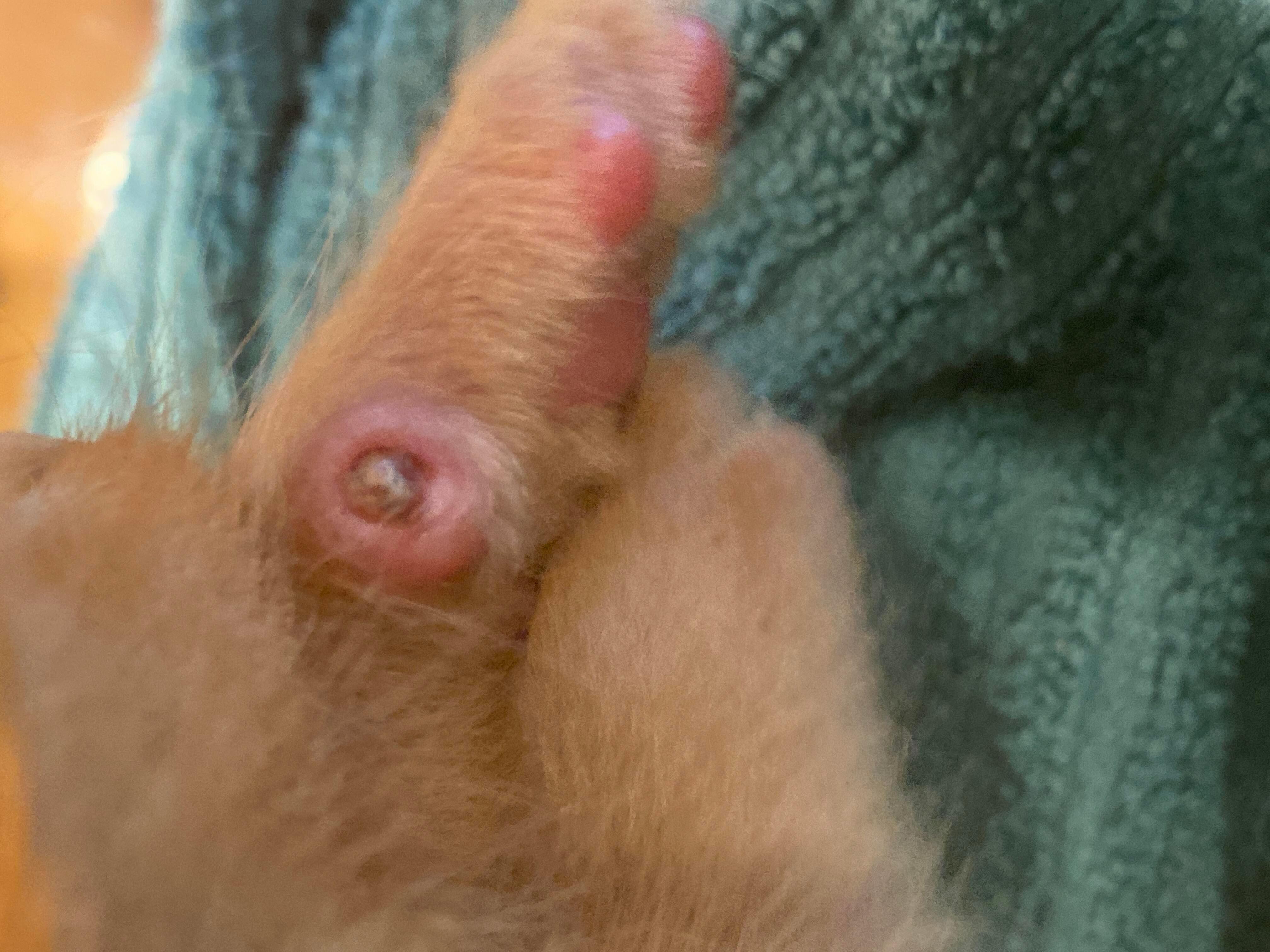 Question details sensitive content