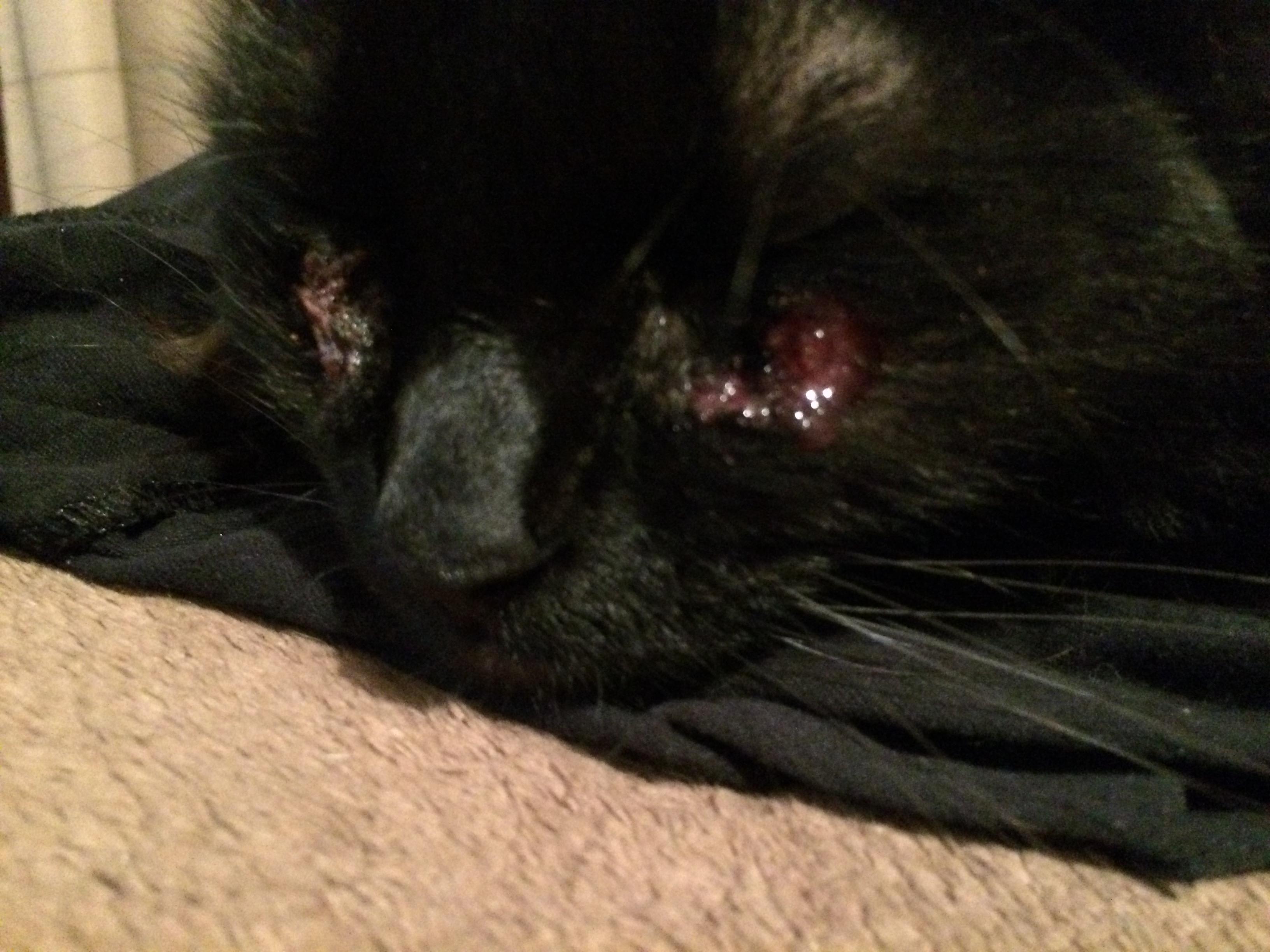 Question details sensitive content