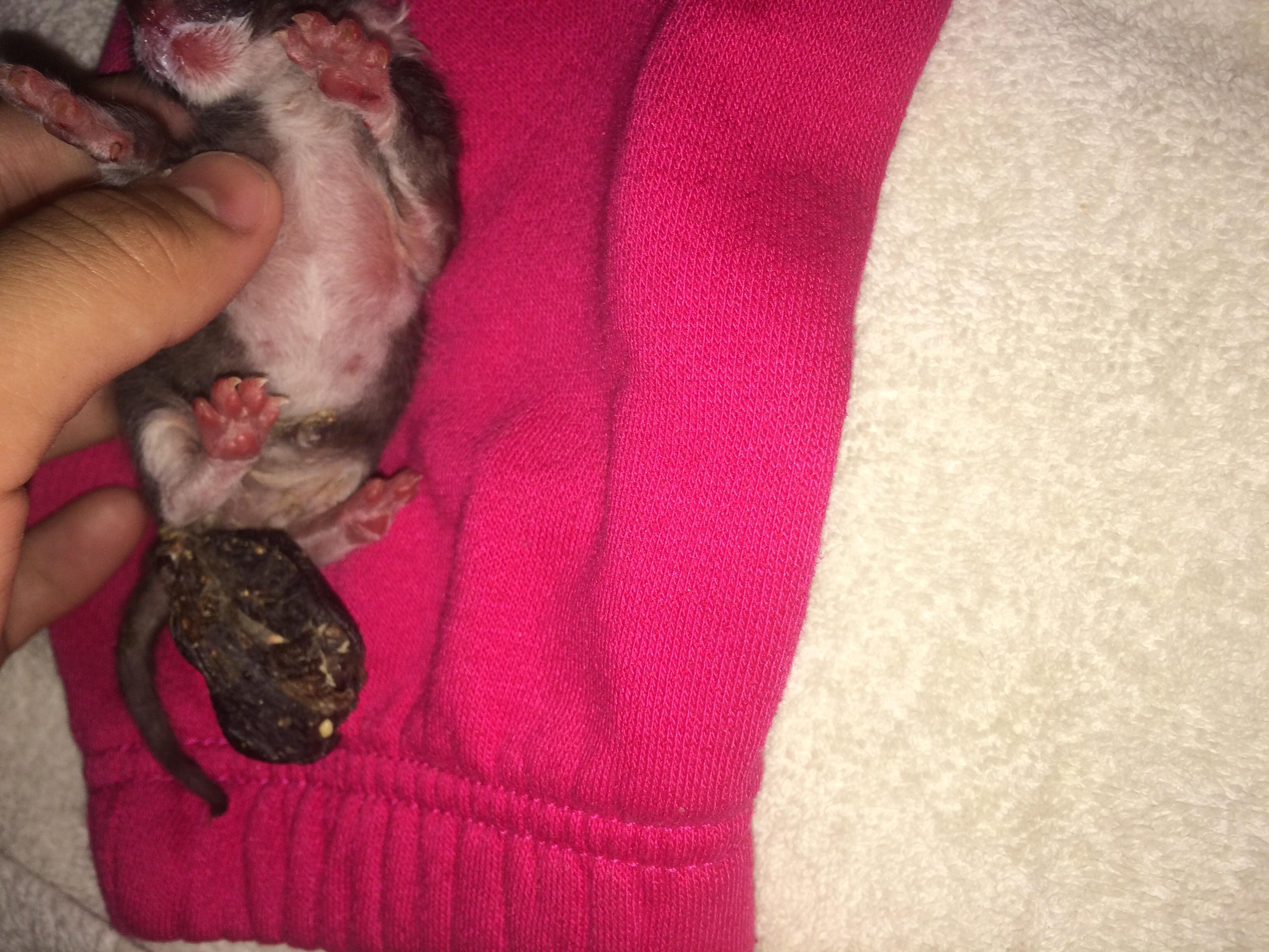 Question details sensitive content