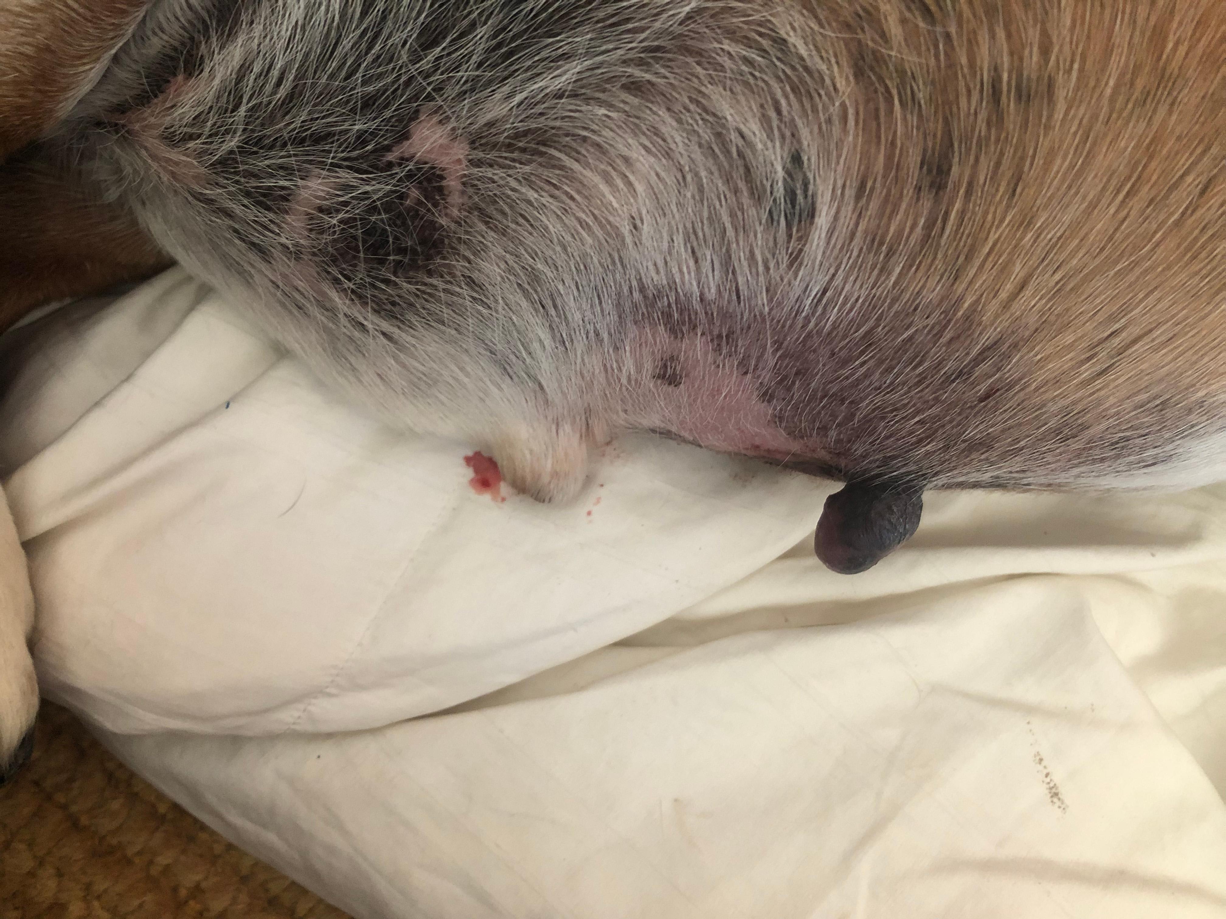 Question details sensitive content