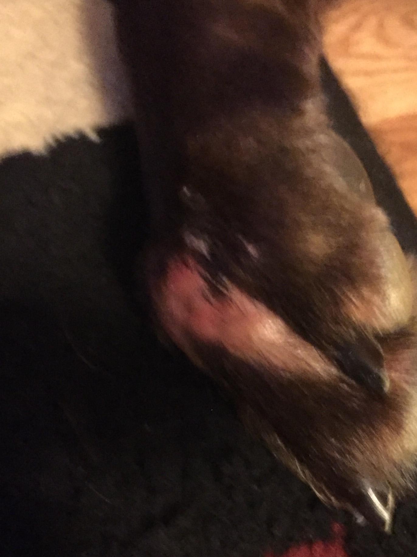 Question details sensitive content