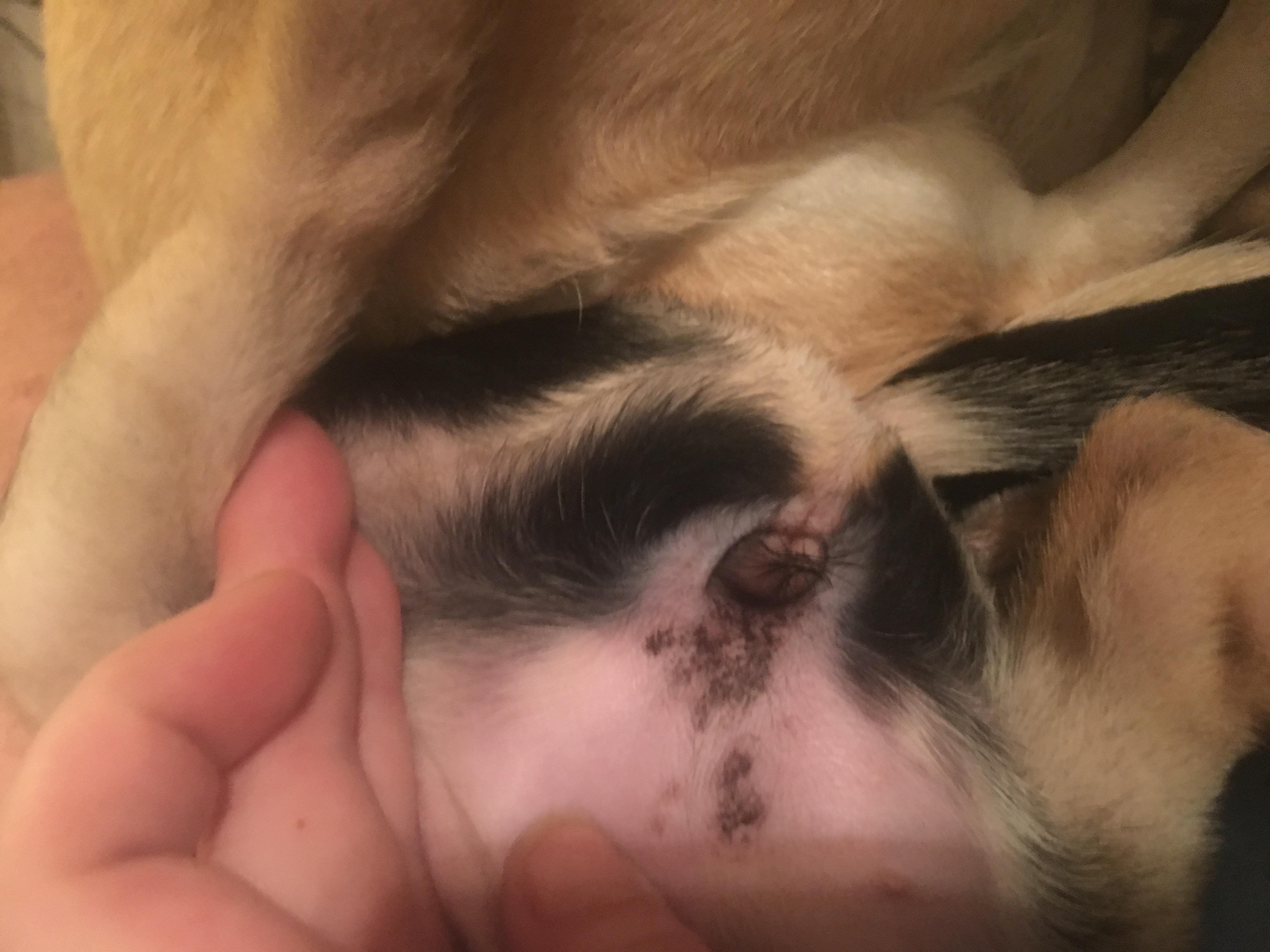 Question details sensitive content