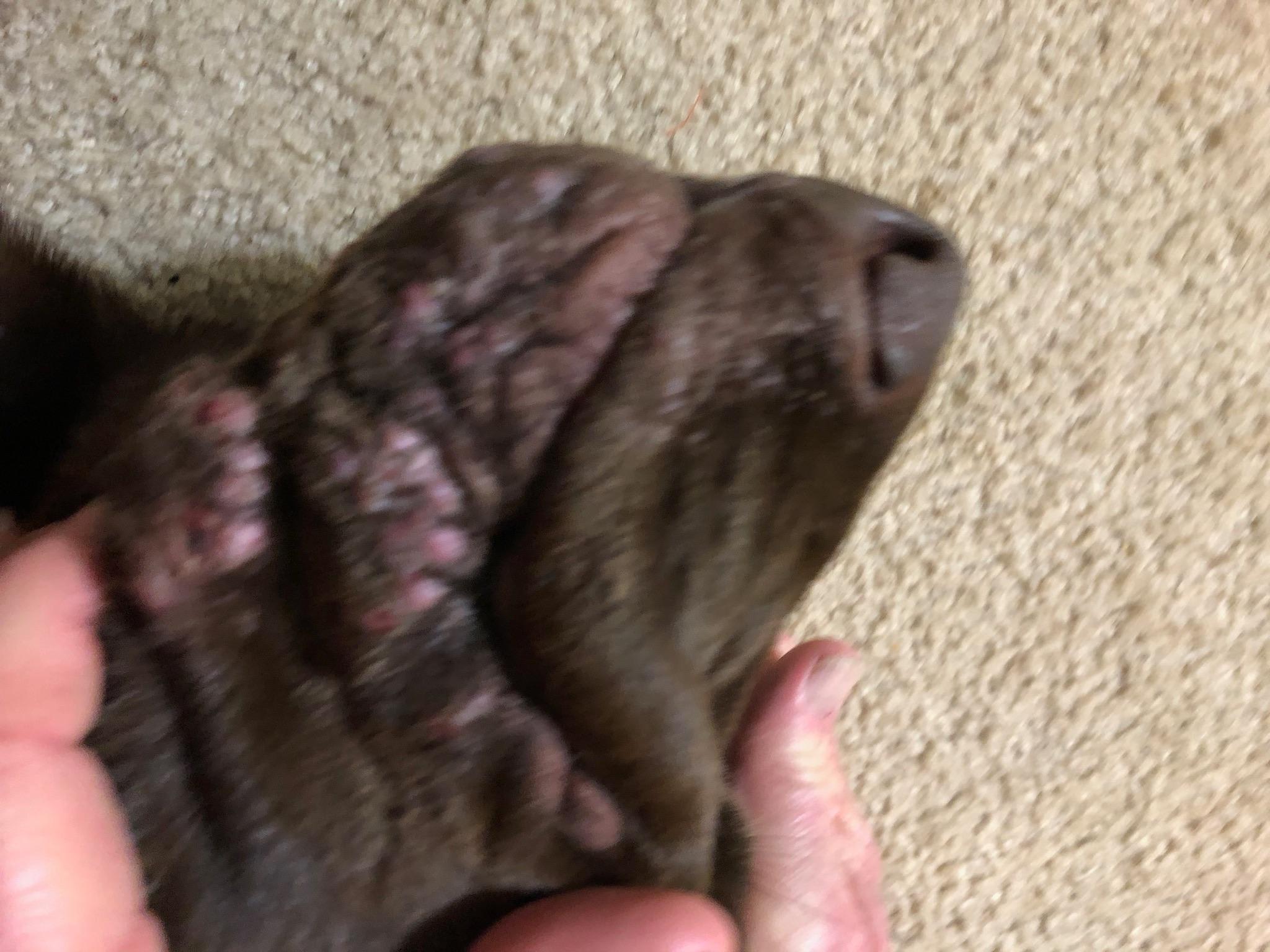 Question details sensitive content