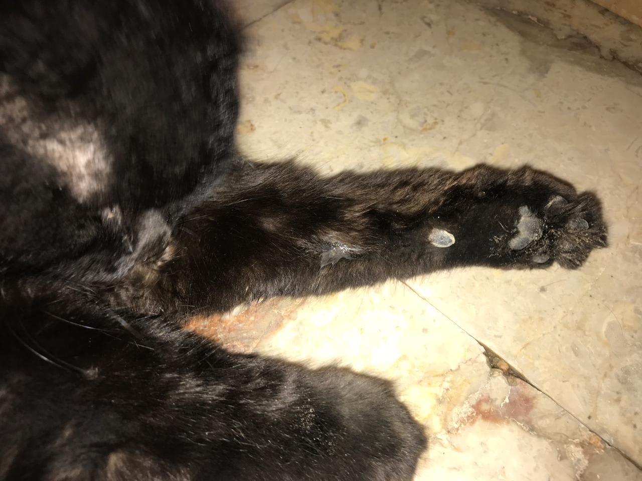 Question details sensitive content