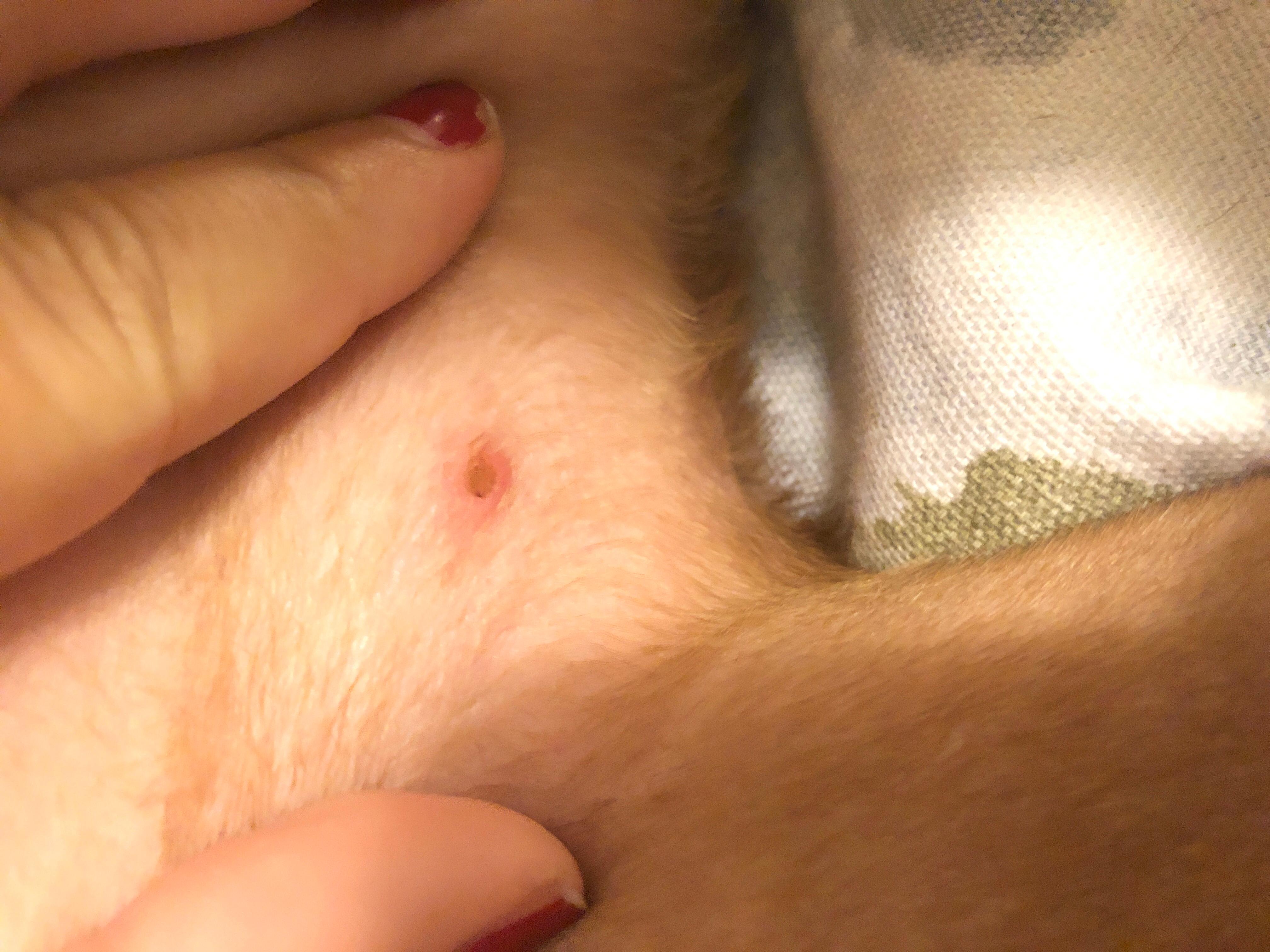 Question details sensitive content