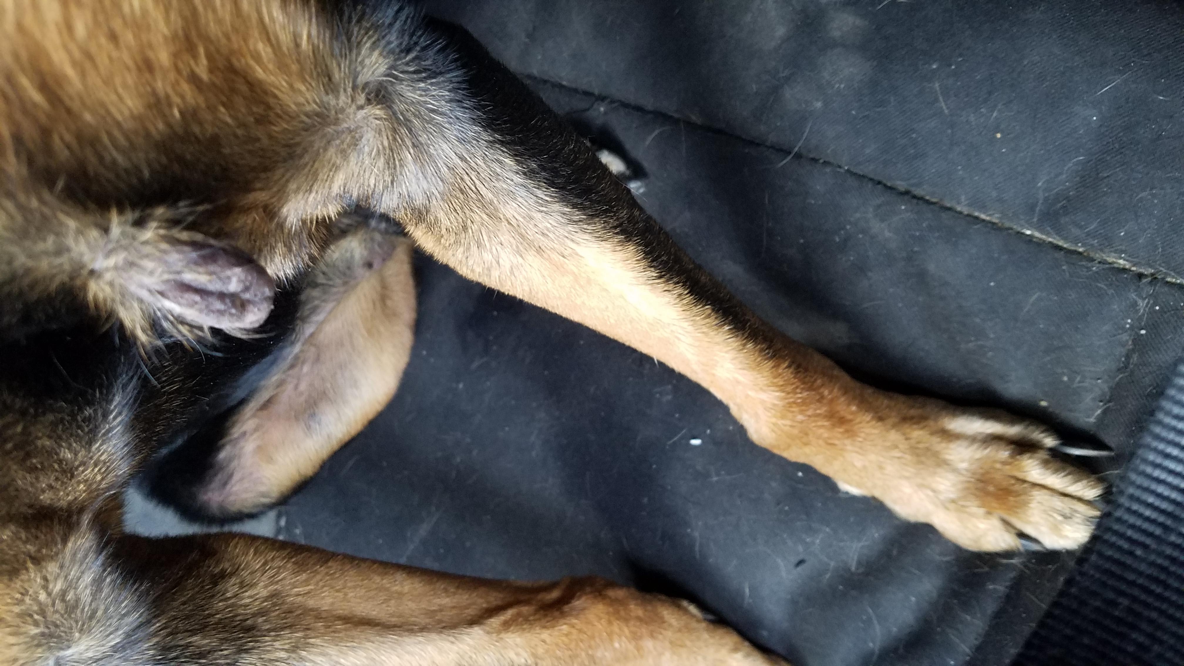 Question details sensitive content